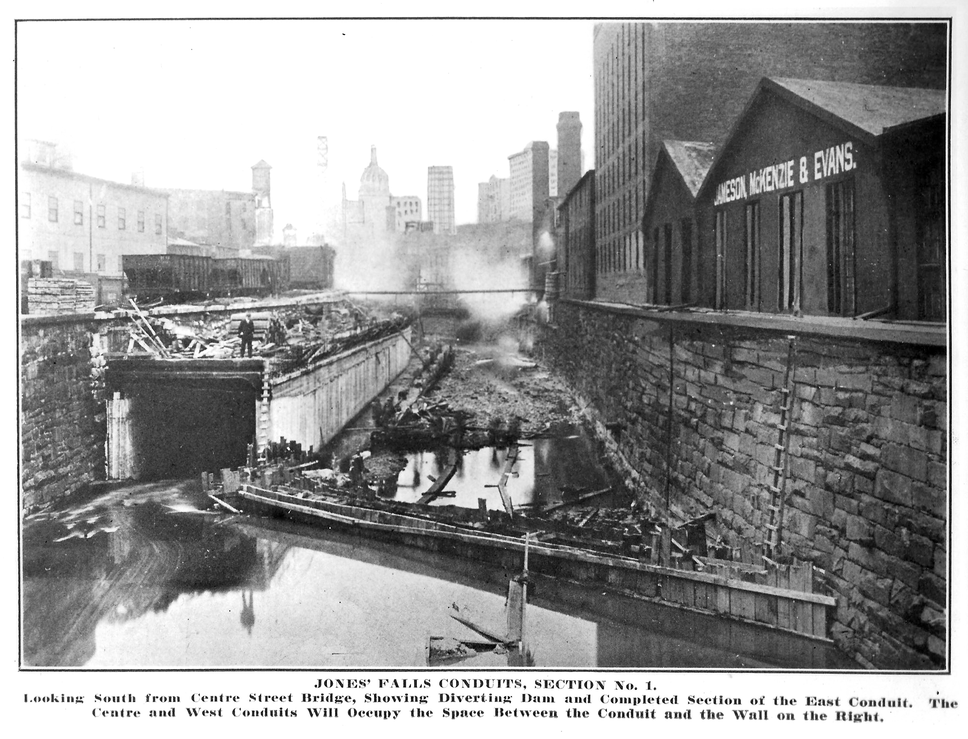洋楽 Welcome to Baltimore Nature's Problem Baltimore Banner reports on impact of a 
