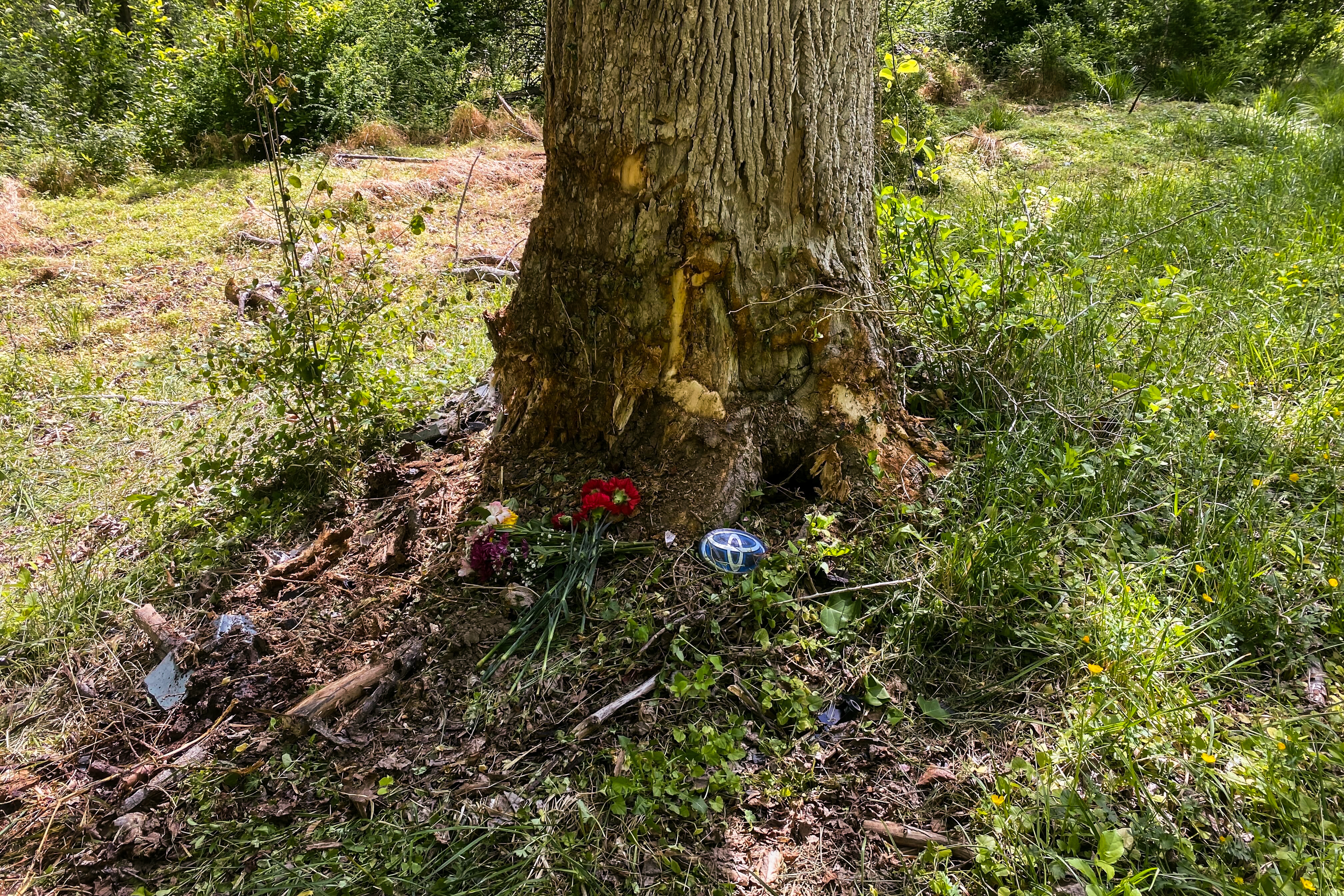 Man charged with threatening family of Cockeysville crash survivor with gun