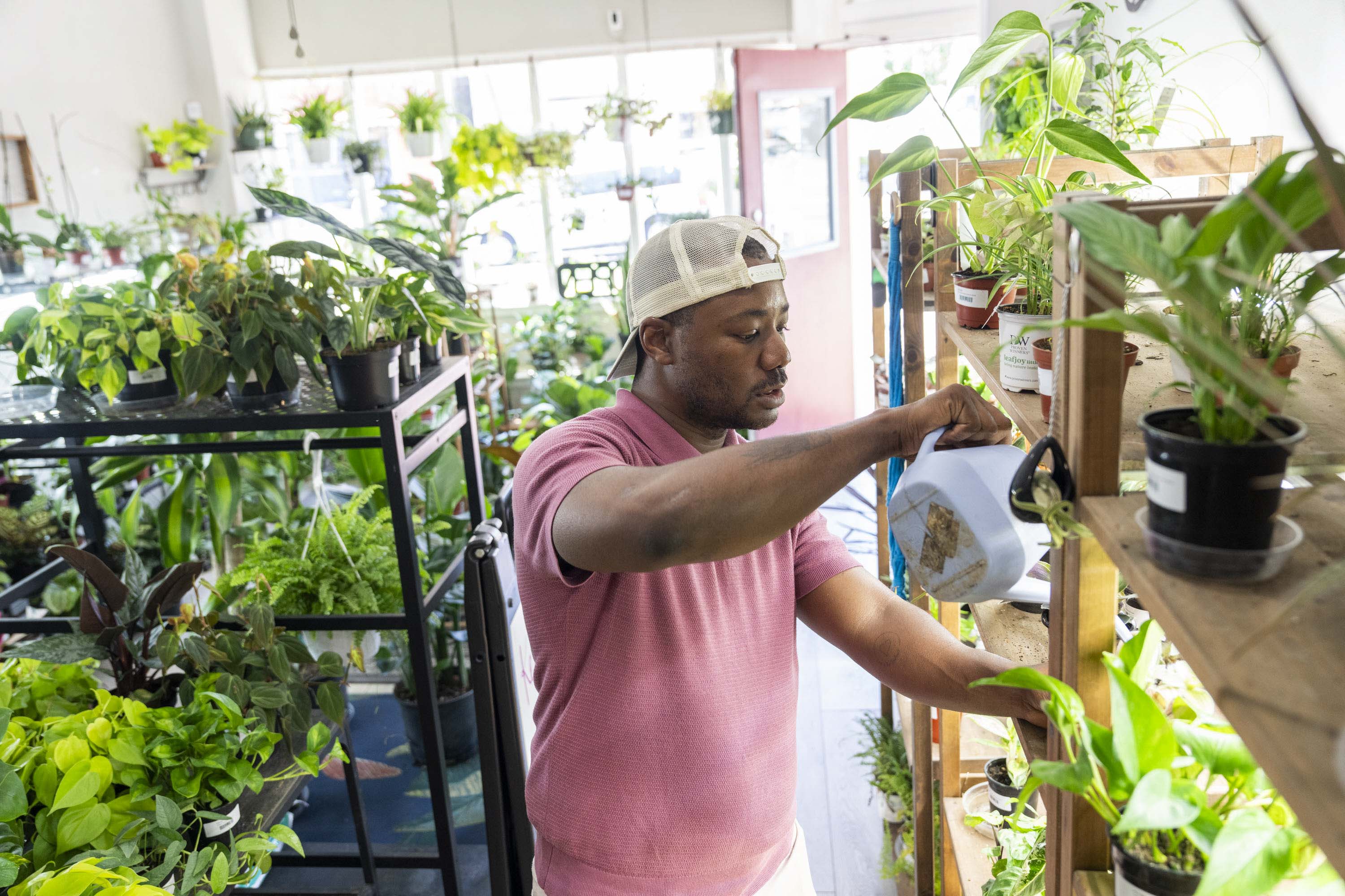 Streeter: Every Baltimore garden is a small act of defiance