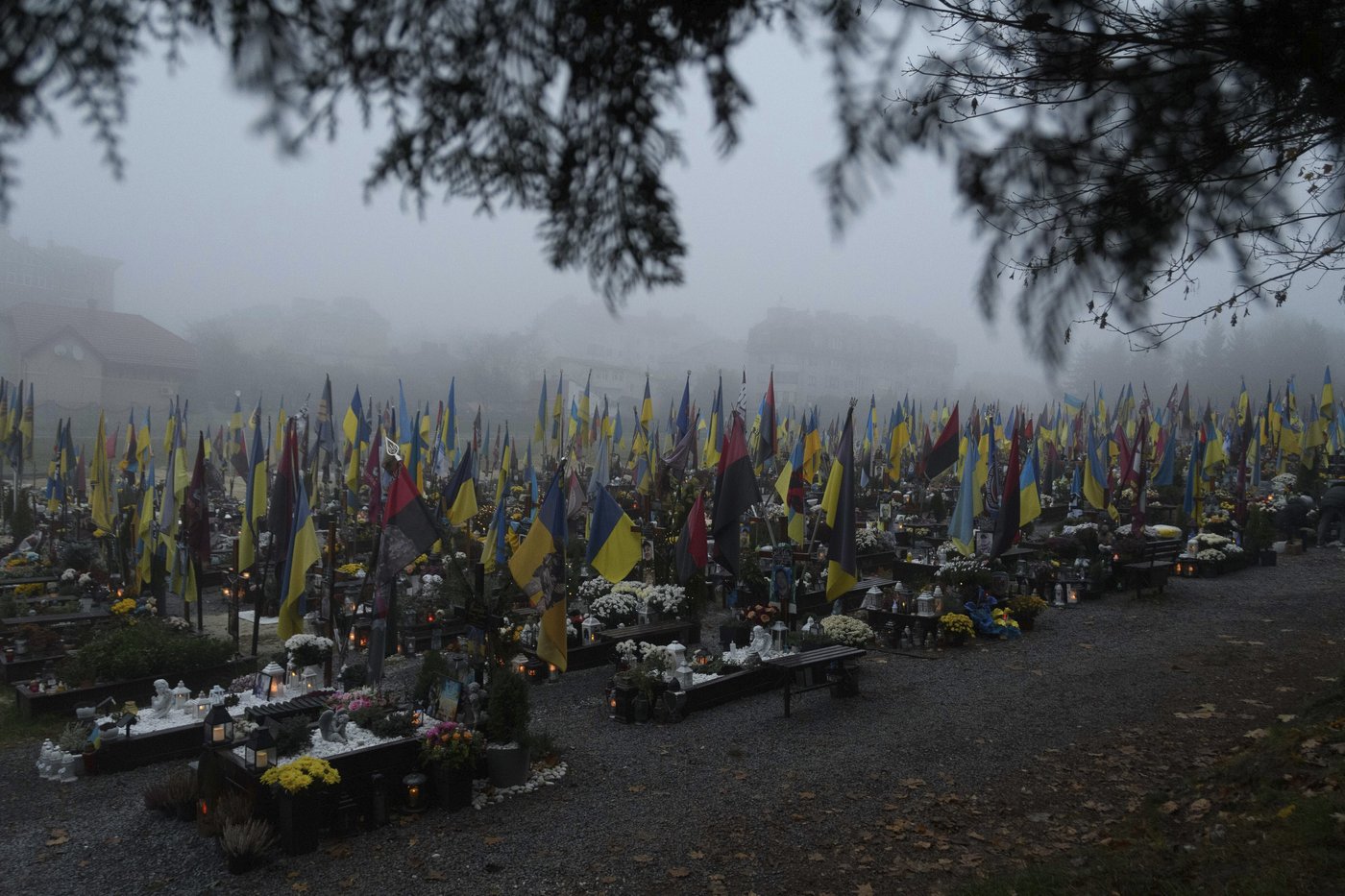 Multiple Canadian cities holding rallies to mark anniversary of the Ukraine invasion