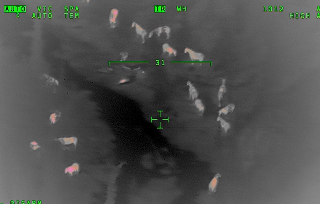 Rescuers parachute into B.C. canyon at night to save man crushed by horse
