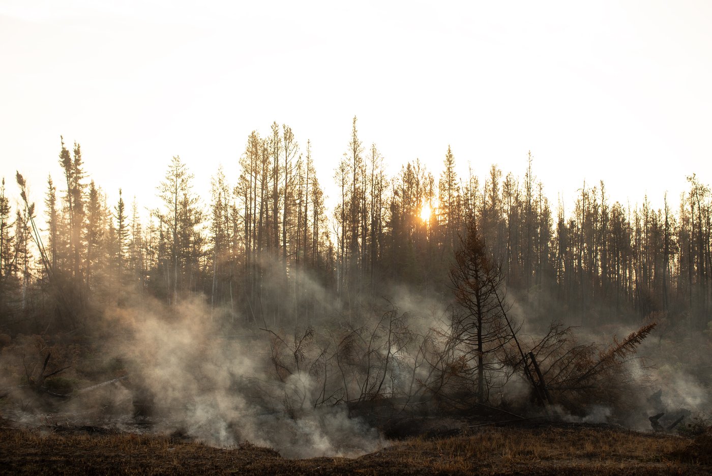 N.W.T. wildfire prompts evacuation order for Fort Providence