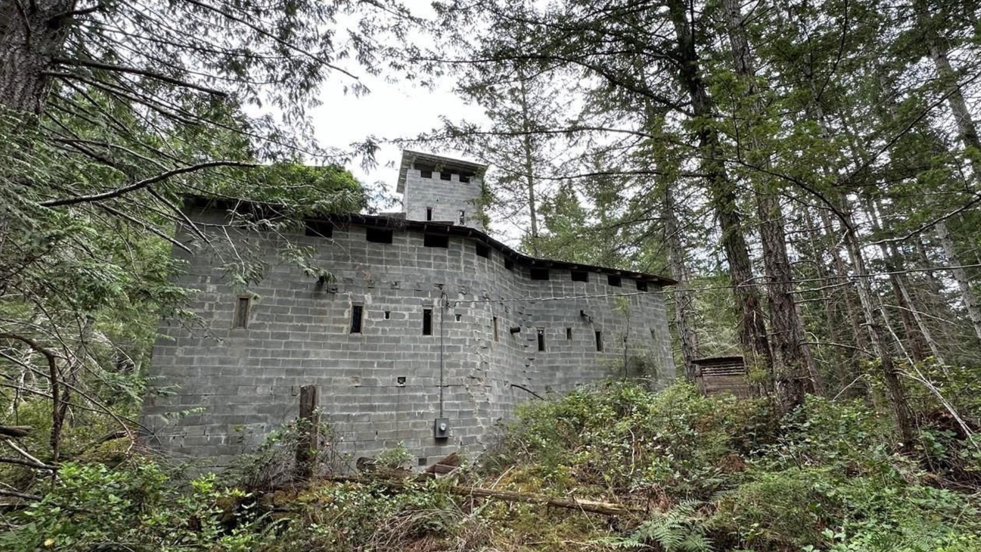 Castle on B.C. island listed for sale, dungeon included  
