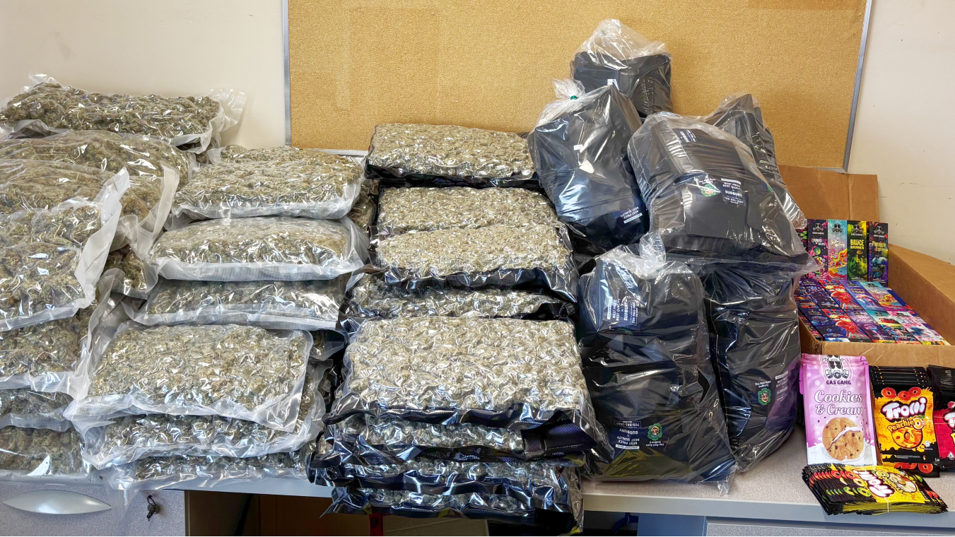 Sudbury news: Police seize $300K in illegal pot