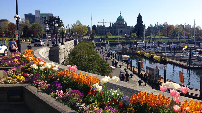 109-year-old heat record broken in Victoria Saturday 