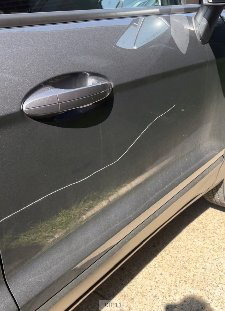 Frustration in South Walkerville after cars damaged on multiple
