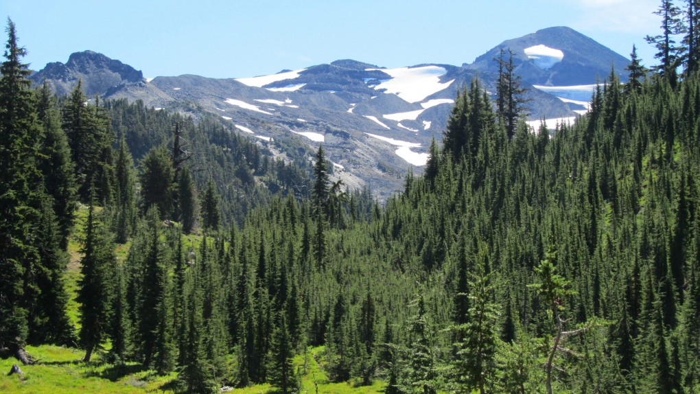 Canadian border agency bars hikers from entering country on Pacific Crest Trail