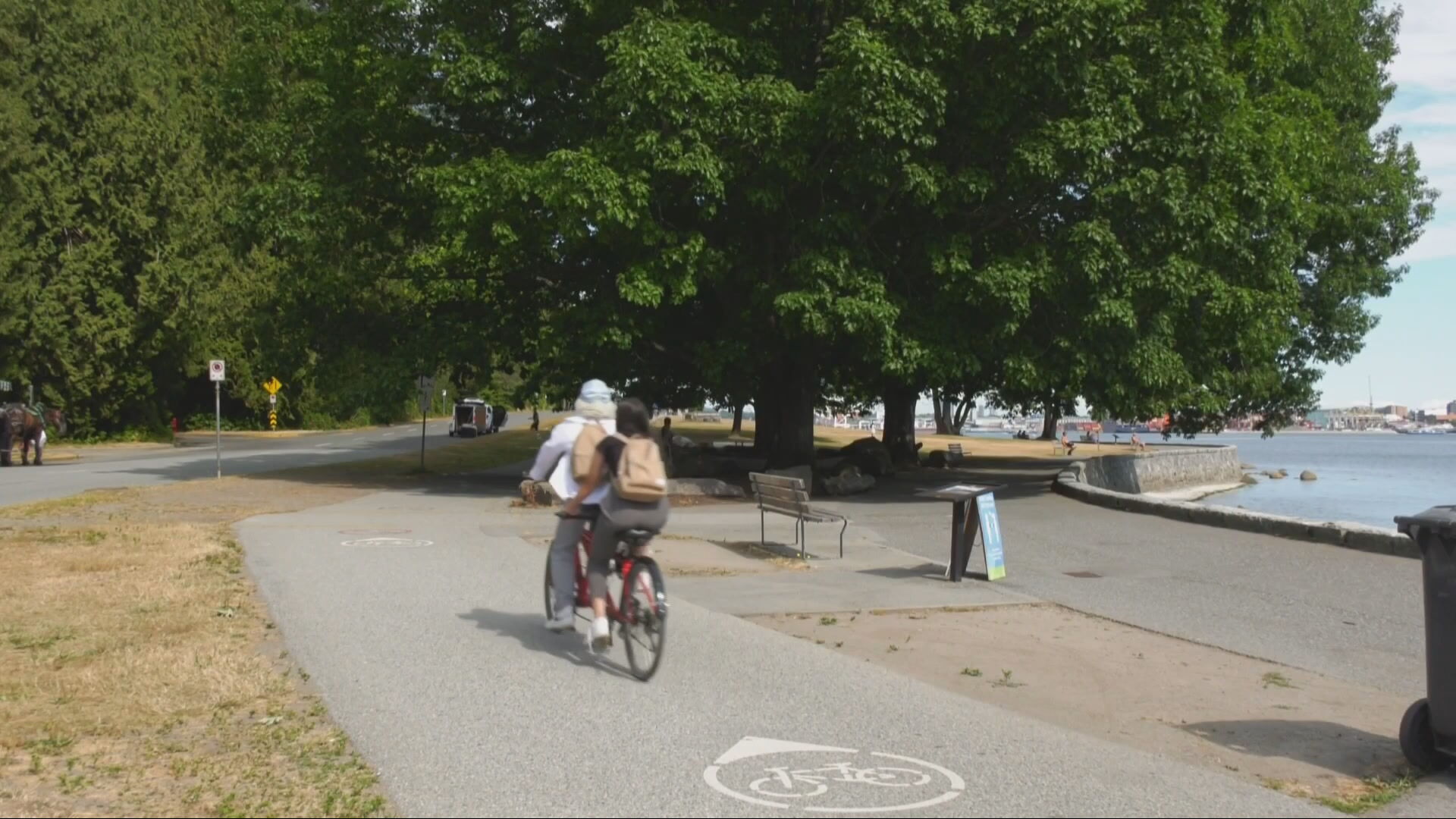 Vancouver Park Board approves potential bike lane and bus route in Stanley Park 