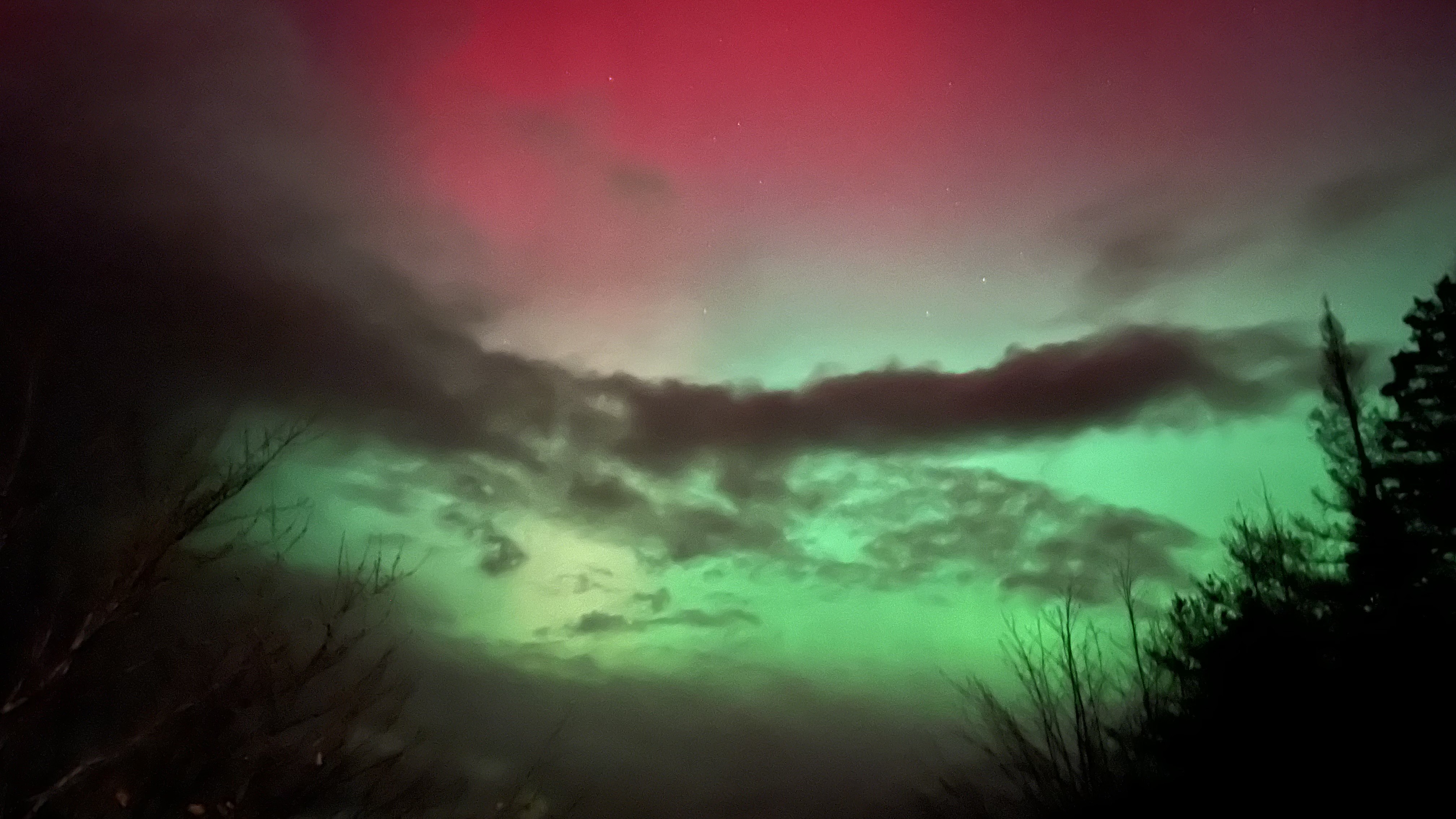 Maritimers treated to northern lights display – CTVNews