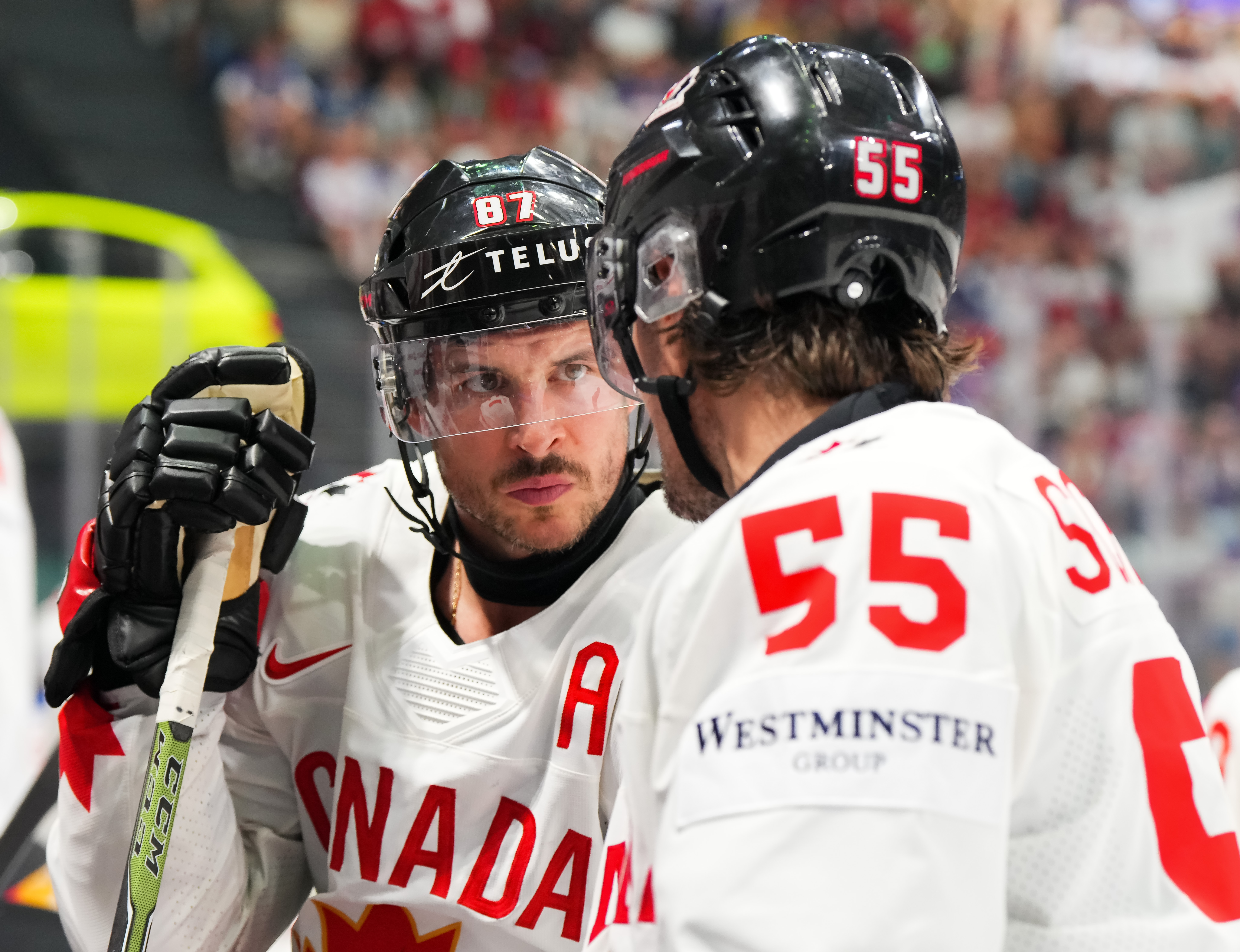 Macklin Celebrini 1018749 Stats, News, Video, Bio, Highlights on TSN