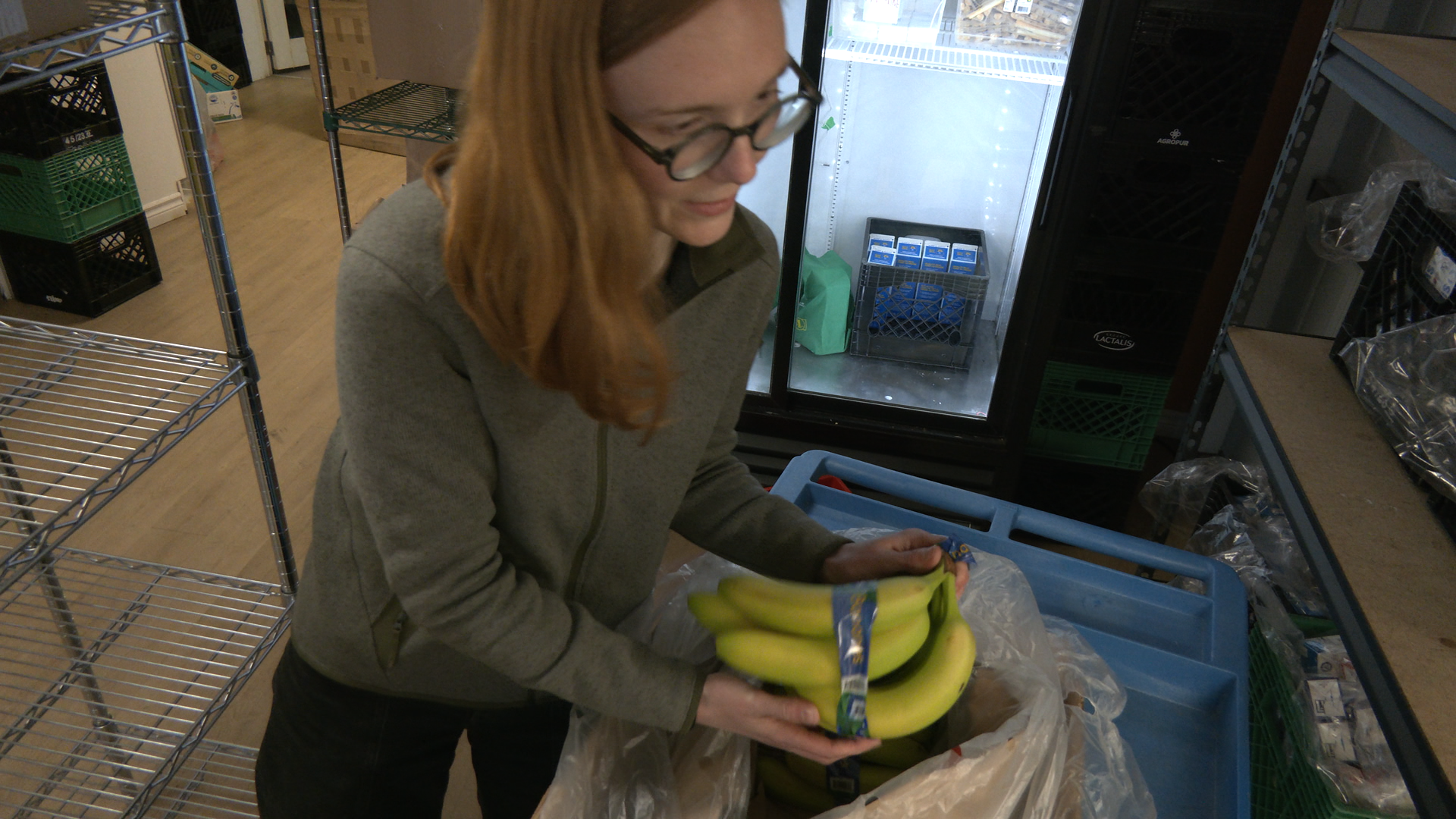 Two-parent families, full-time workers among those in need of food banks: report