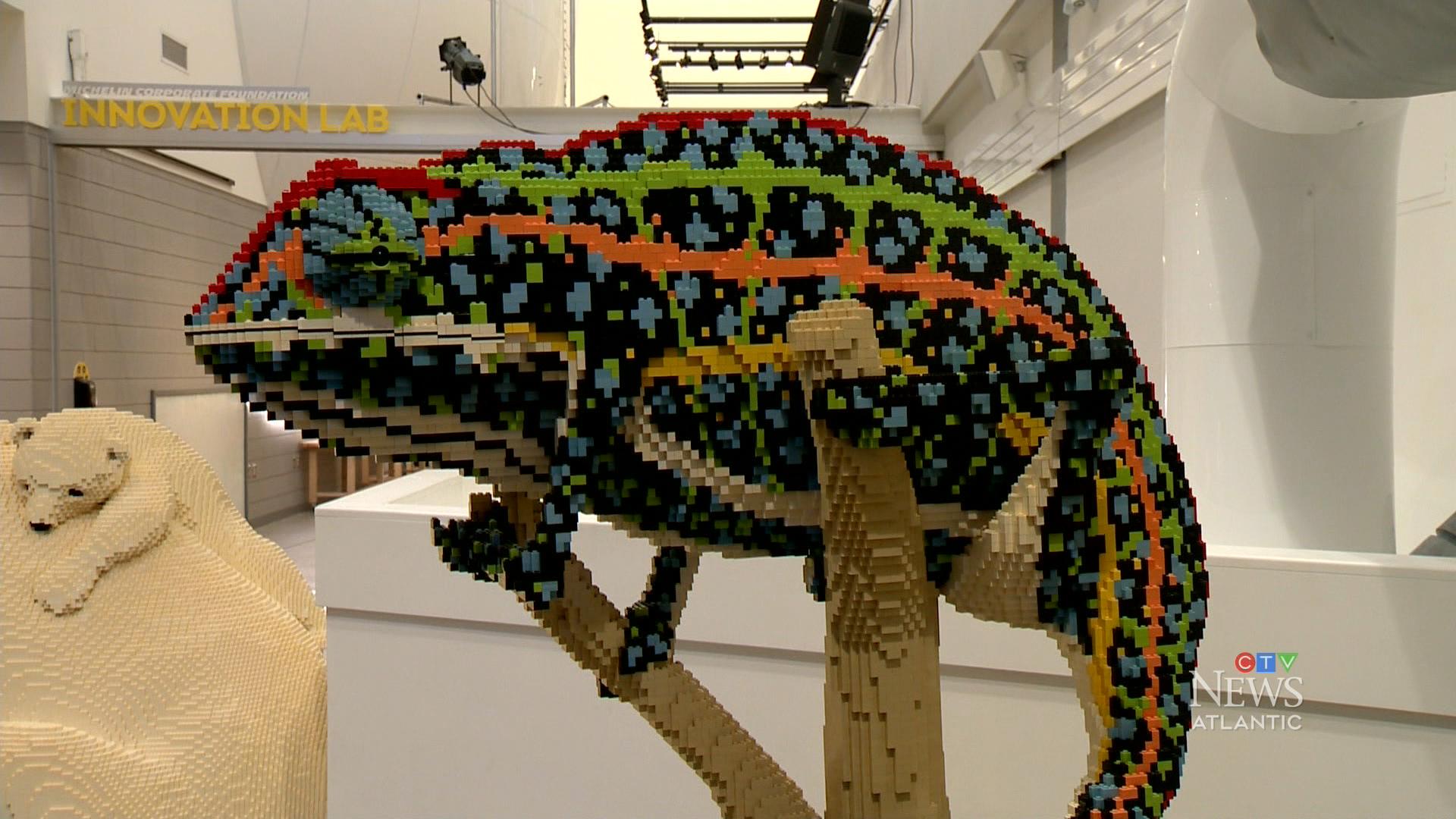 Lego brings animals to Halifax Discovery Centre
