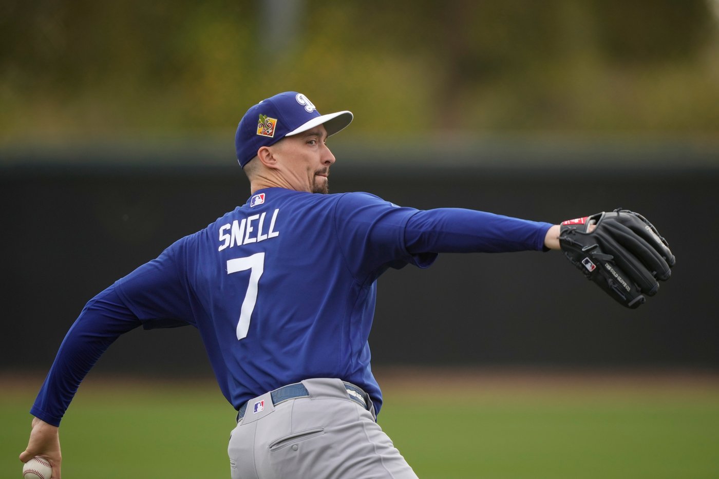 Blake Snell - Player Info, News & Stats
