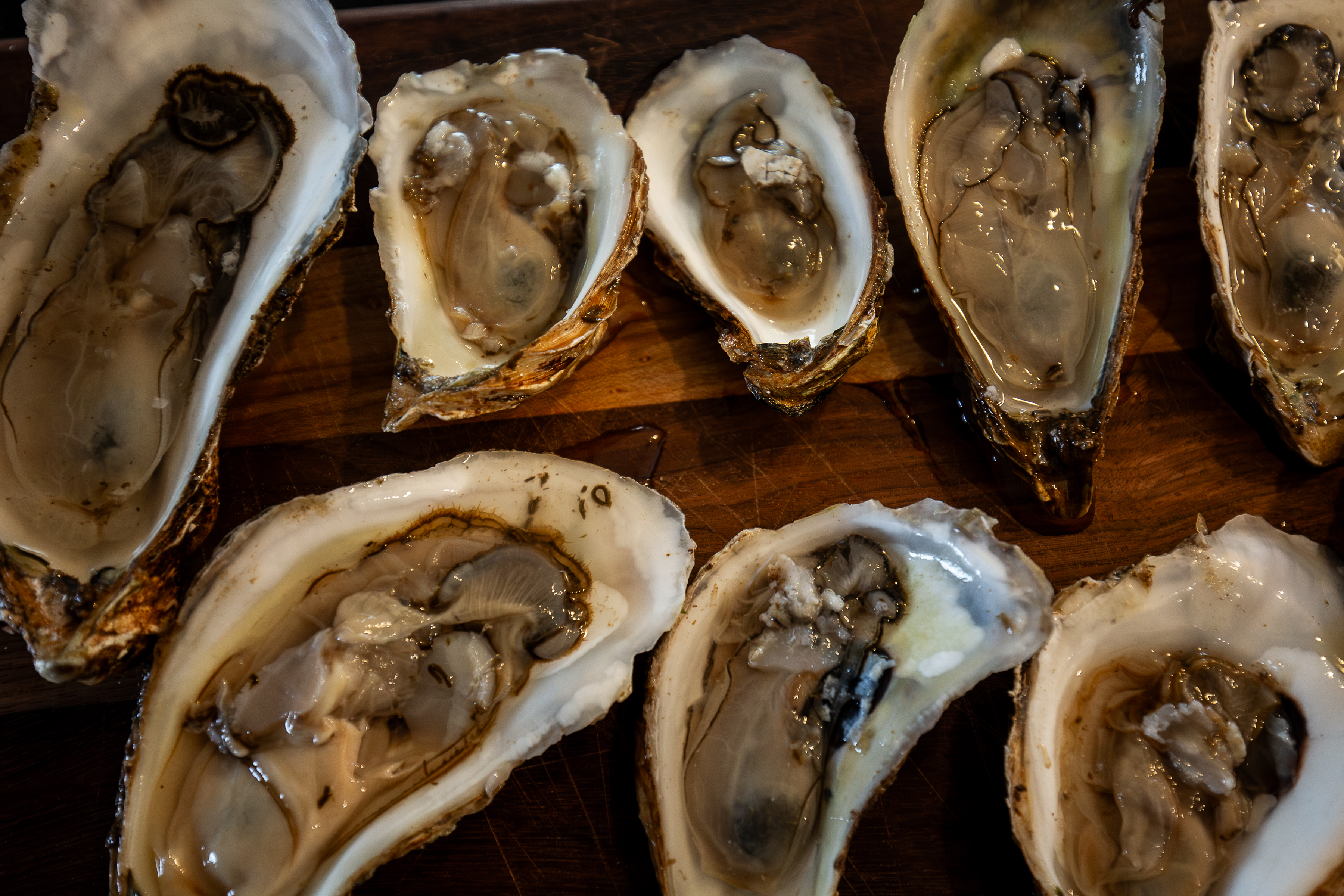 P.E.I. oysters: Recall due to possible salmonella, CFIA says