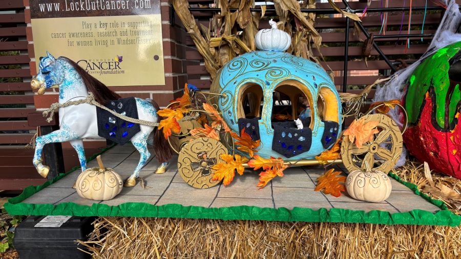 Carve 4 Cancer raises over $16,000 for Windsor Regional Cancer Program