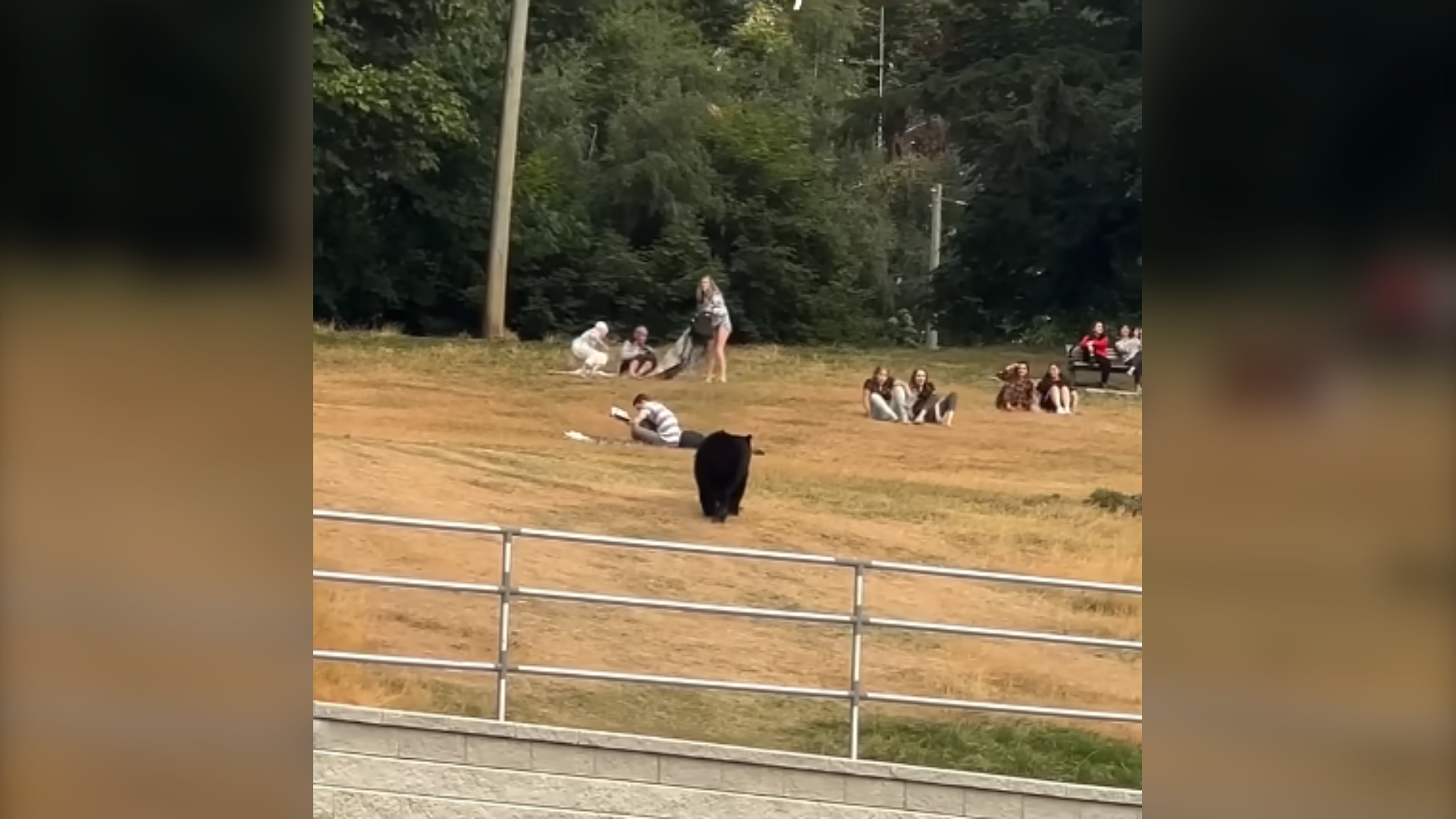 ‘Hey buddy!’: Video shows bear approaching unaware B.C. park visitors 
