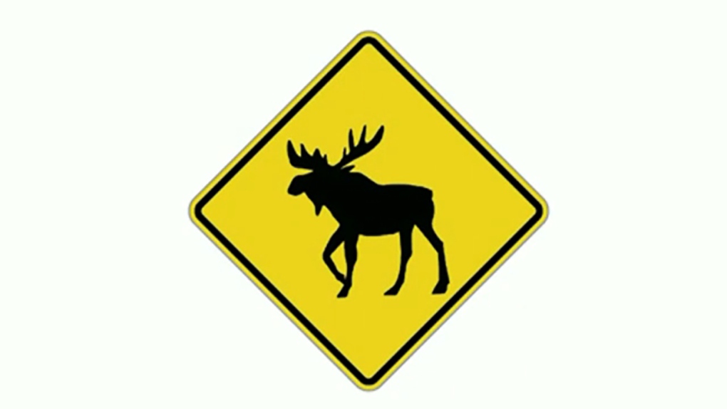 Moose Ridge Sign Moose Crossing Sign Alberta