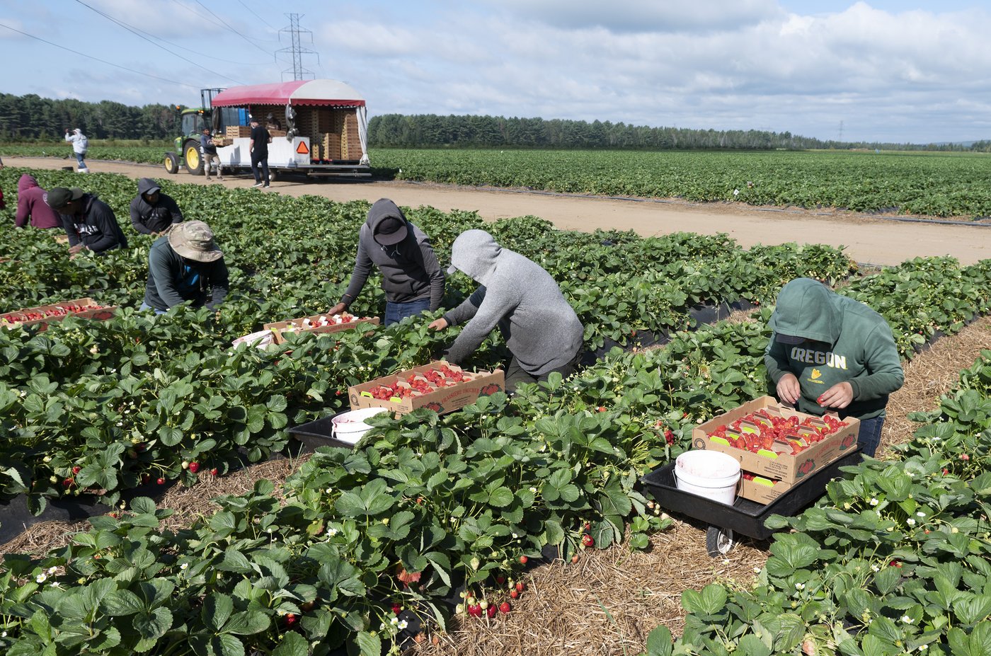 ‘That is wickedness. I am working for $17.23 per hour:’ Migrant worker reacts to proposed spike in housing cost payroll deduction