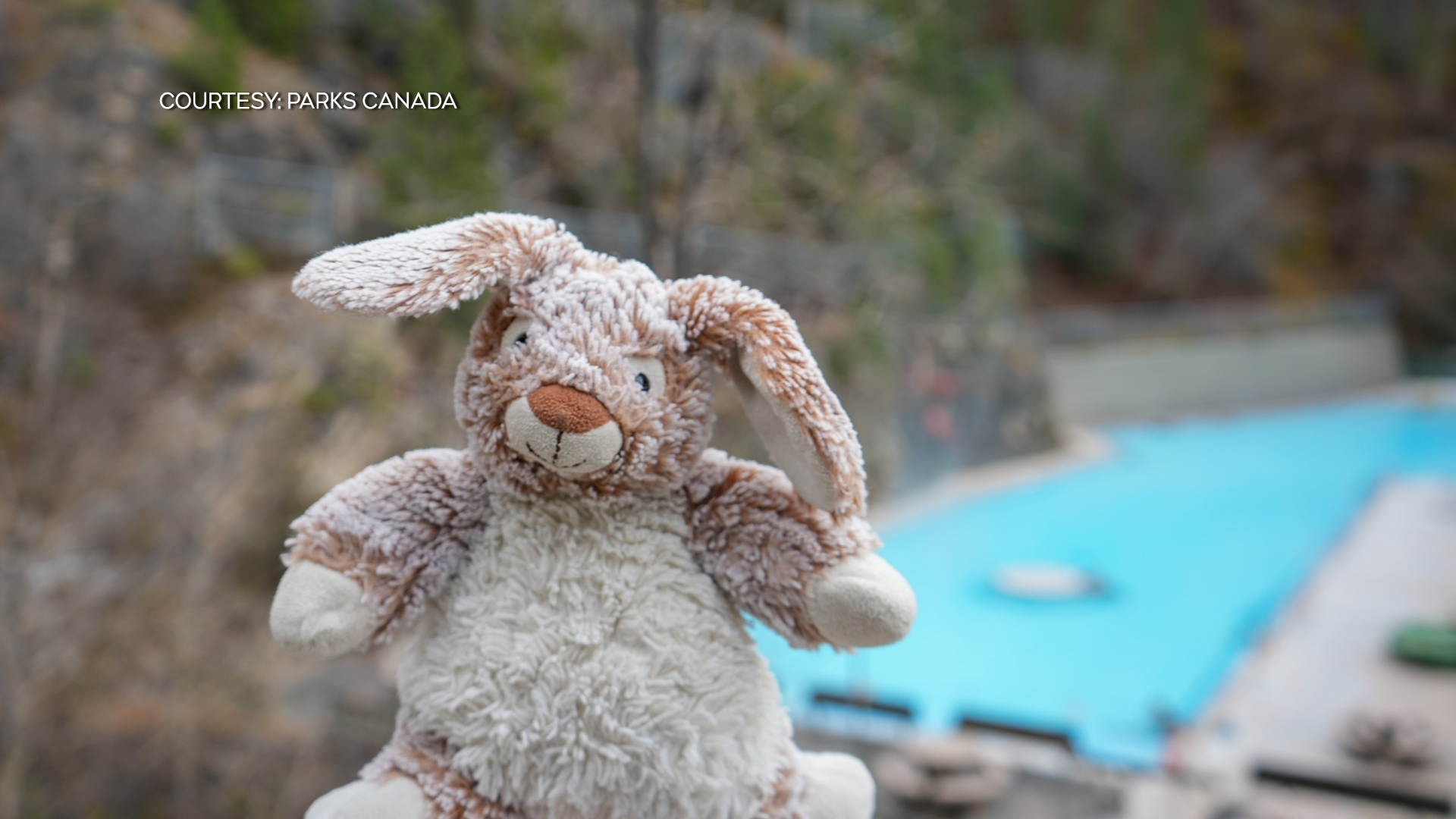 Stuffed bunny on a tour of the Canadian Rockies