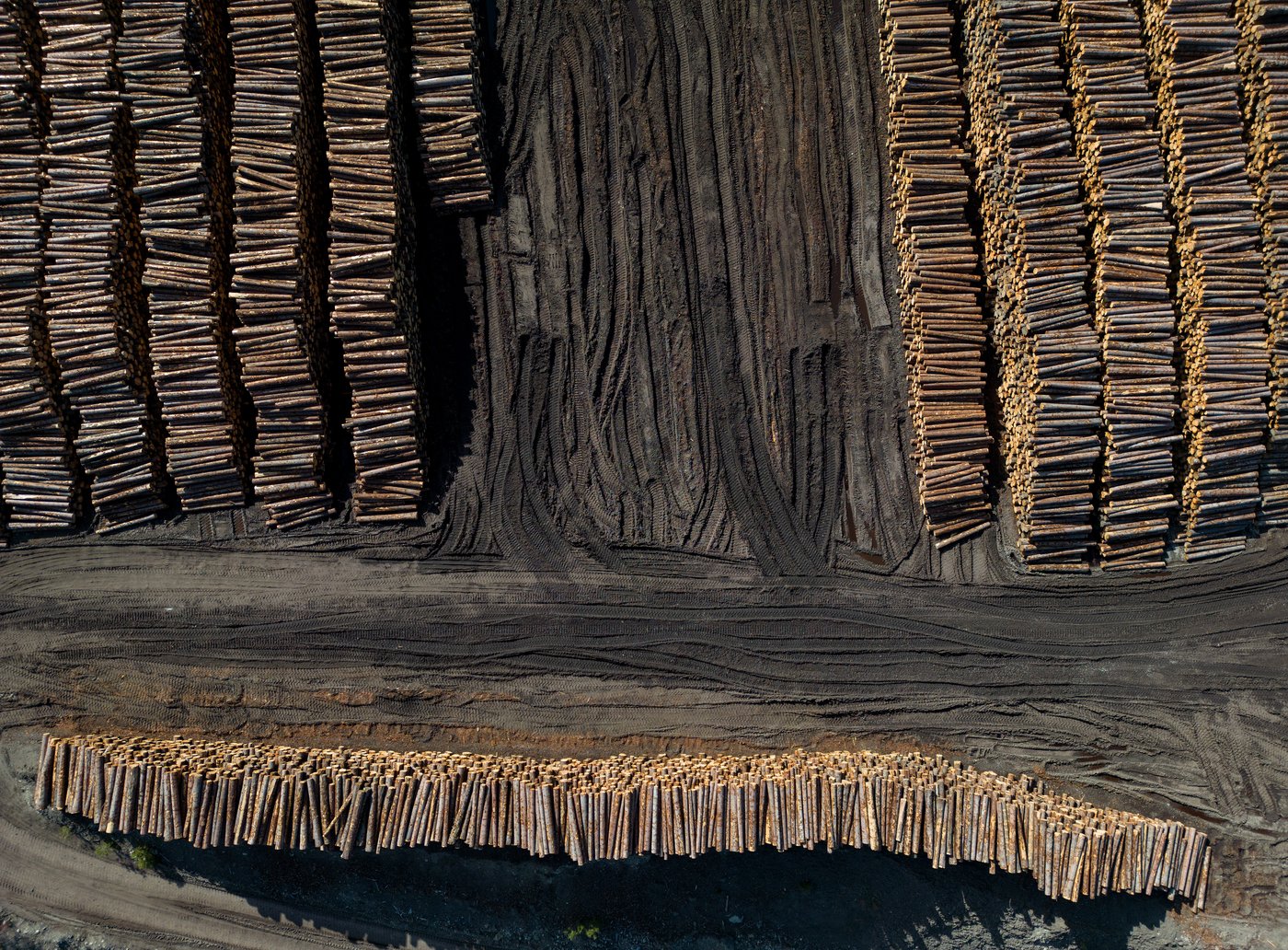 Relief for B.C.’s softwood industry welcomed by industry, politicians 
