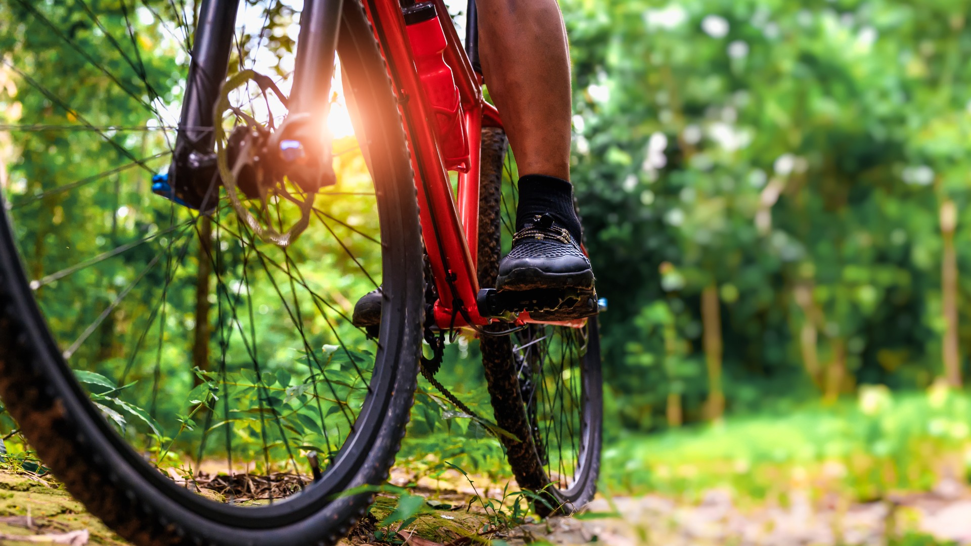 $10K mountain bike stolen from sleeping tourist in Nanaimo, RCMP say 