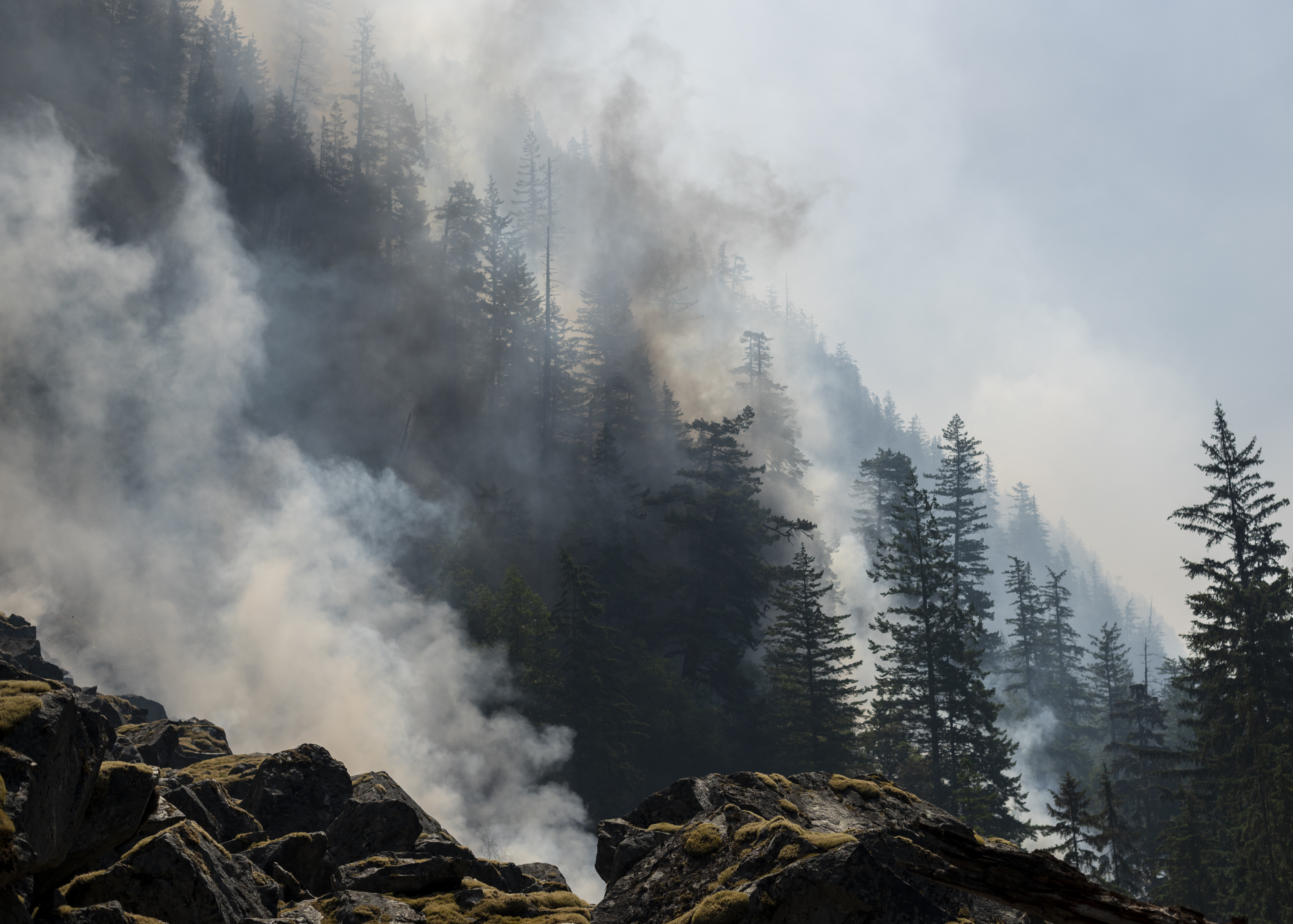 ‘There’s just too many fires’: Calls grow for national wildfire agency