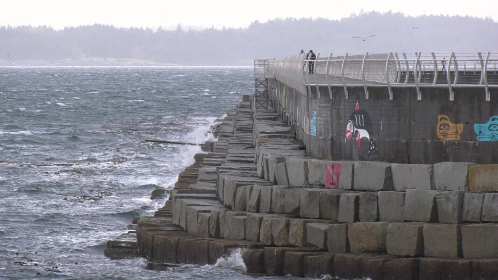 ‘Gusty’ winds coming to parts of B.C.’s South Coast 