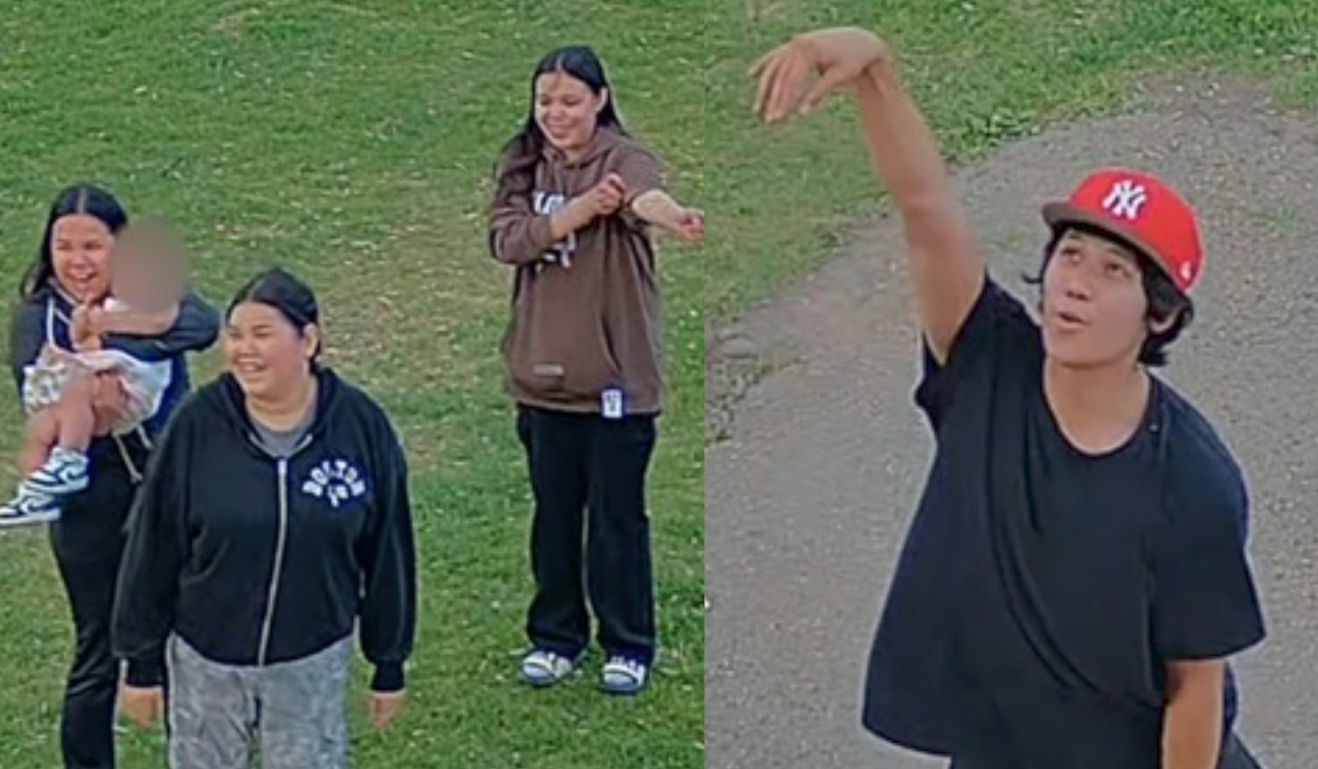 Edmonton police searching for persons of interest in playground arson
