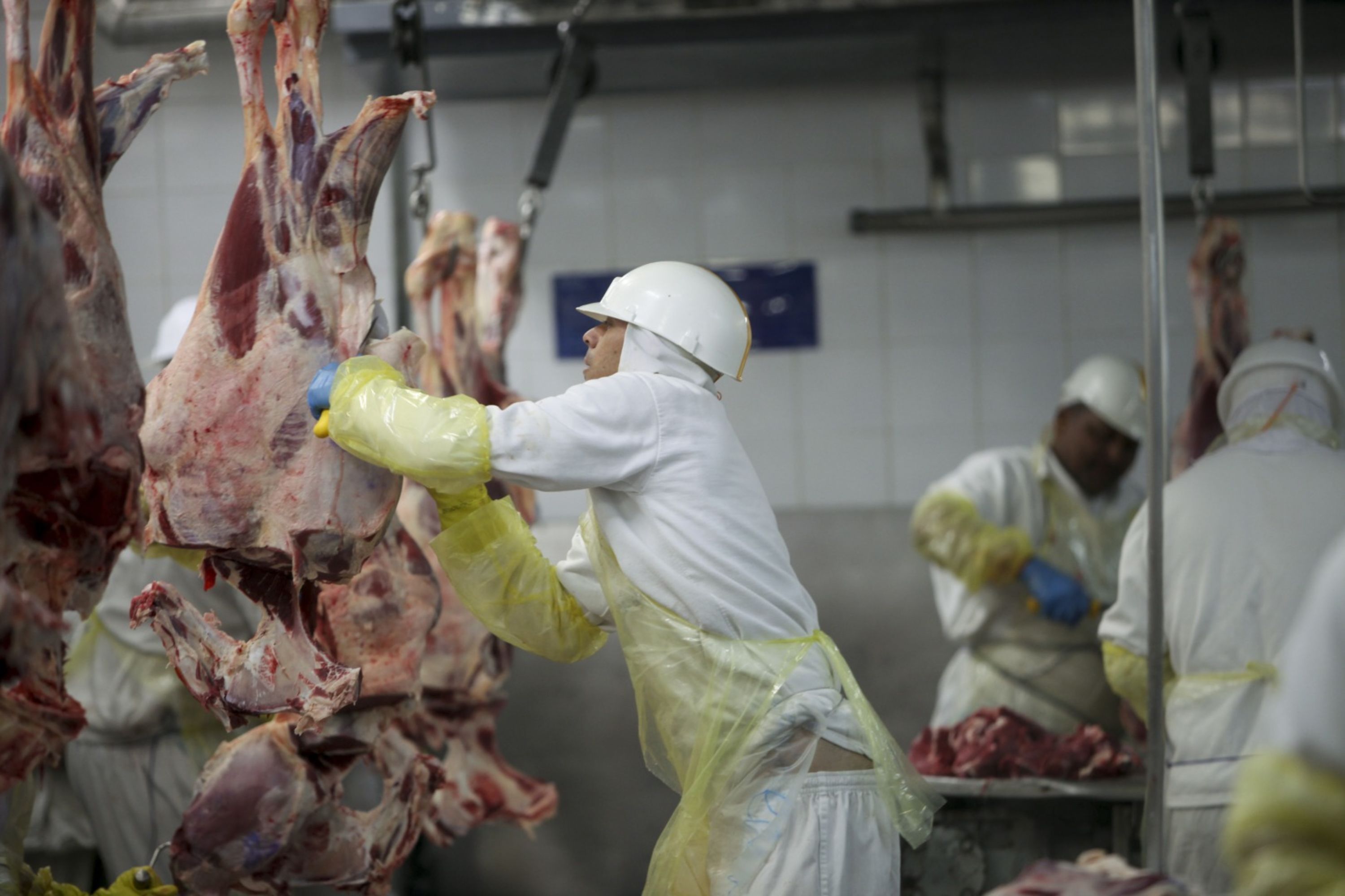 Governo confirma caso de ‘vaca louca’ no Pará e suspende exportações para a China