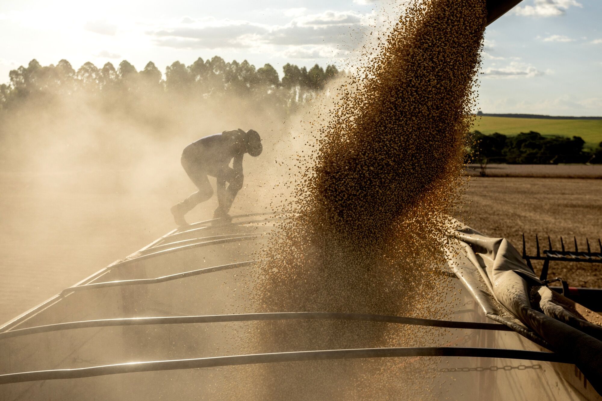 Os países da América Latina que serão mais afetados pelo El Niño, segundo o BofA Os países da América Latina que serão mais afetados pelo El Niño, segundo o BofA