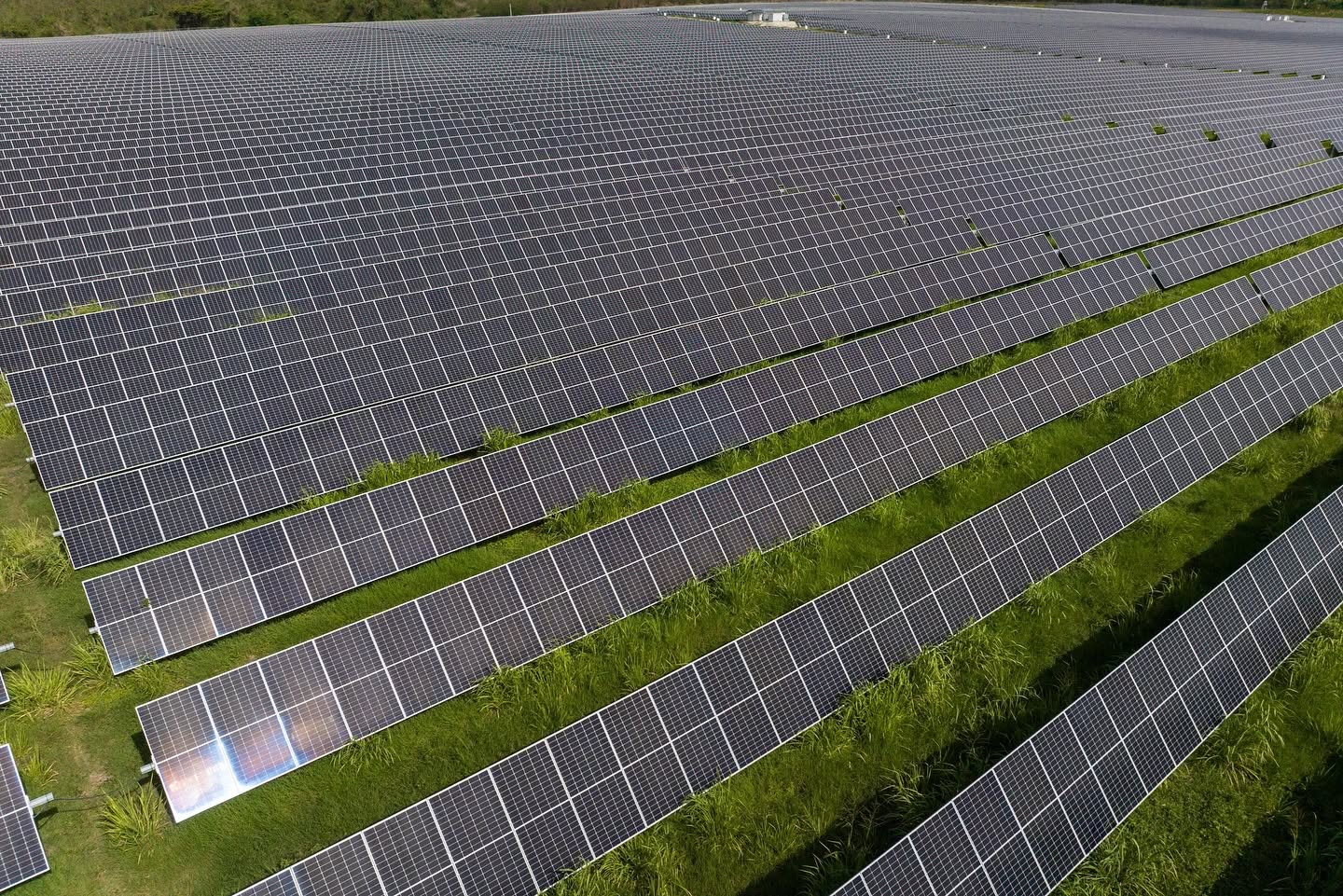 El parque solar más grande de Colombia cambia de manos: ¿Quiénes son sus nuevos dueños? El parque solar más grande de Colombia cambia de manos: ¿Quiénes son sus nuevos dueños?