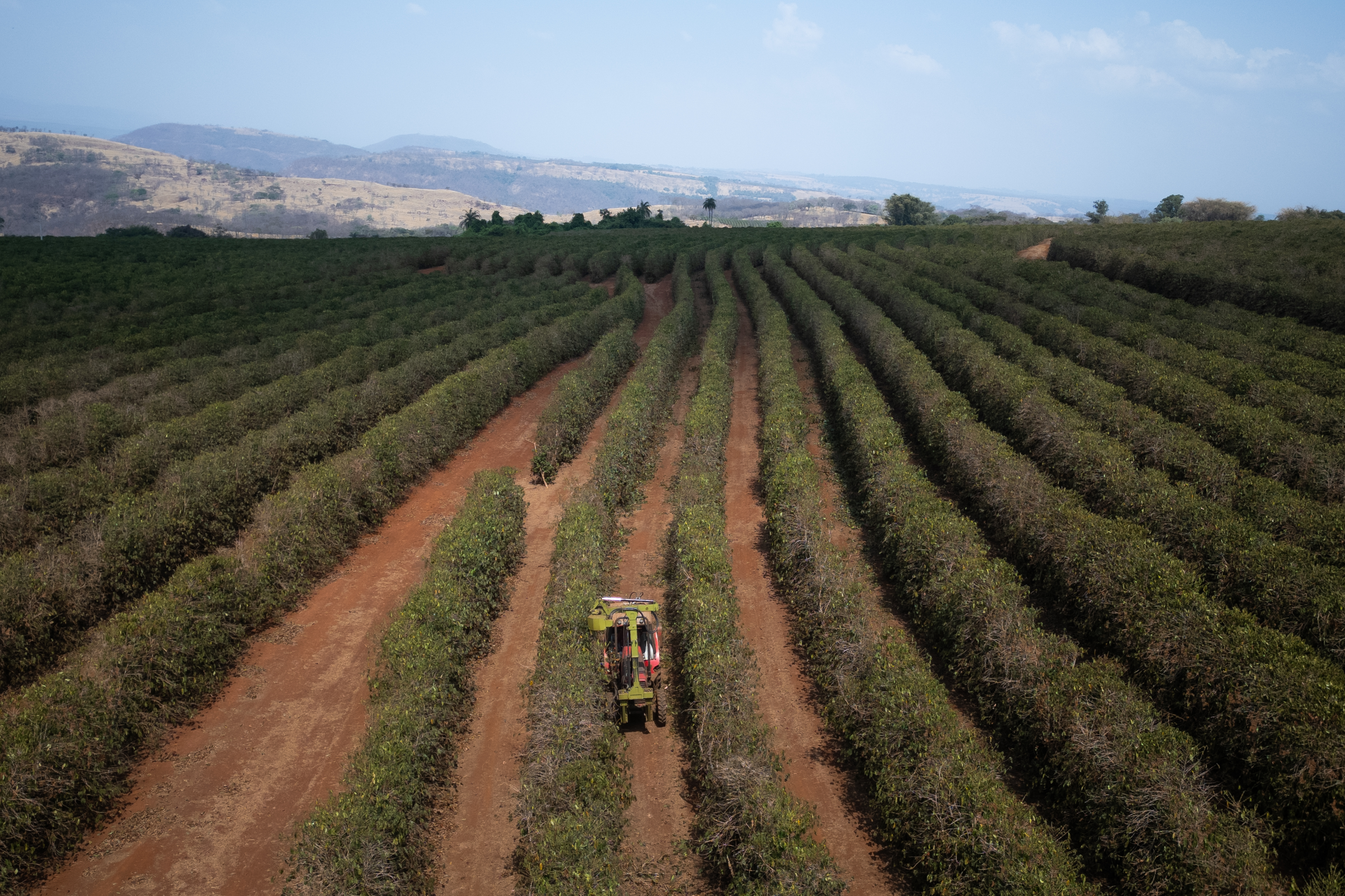 Do Brasil ao Peru: como o El Niño ameaça a agricultura e a economia da América Latina