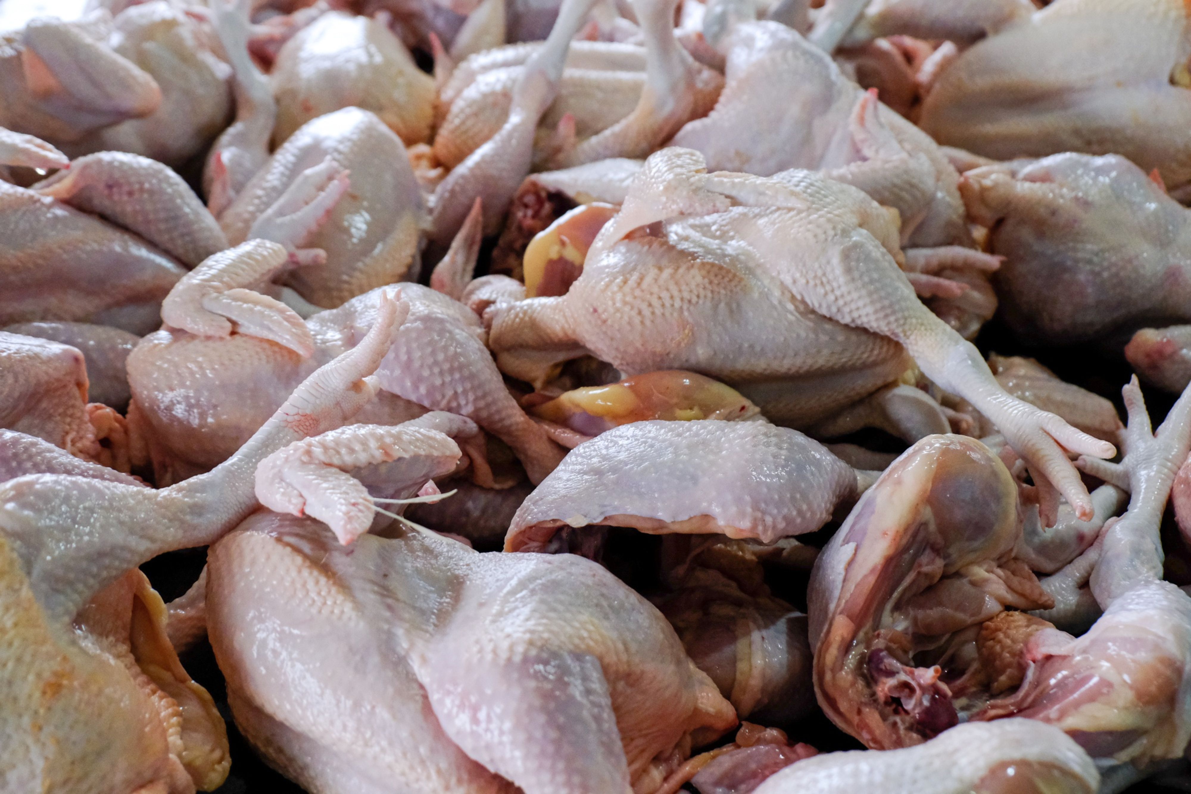 French Coq-au-Vin gets more expensive;  Families are under pressure from…