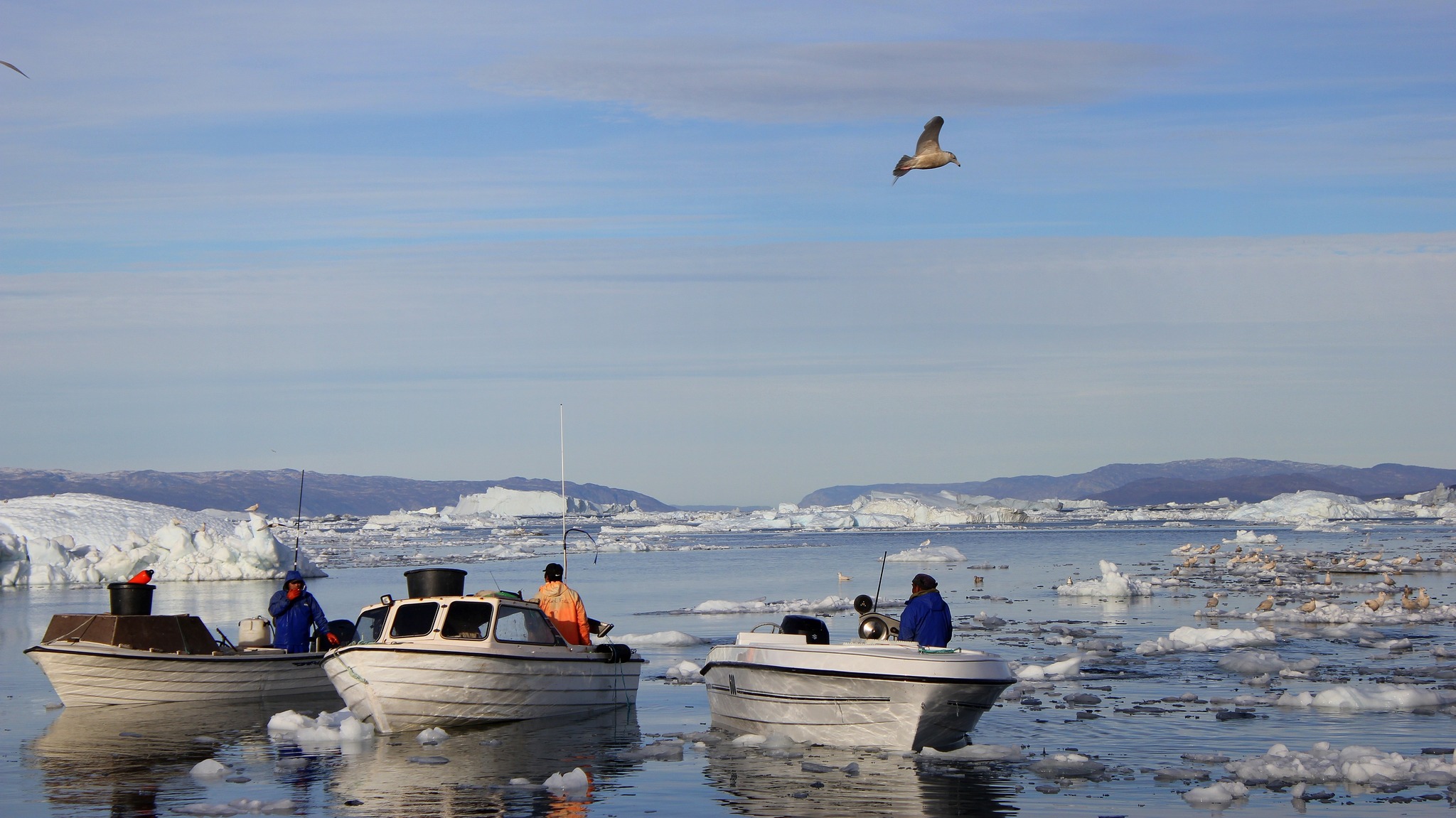¿Cuántos habitantes hay en Groenlandia? La pesca impulsa la economía de esta isla danesa ¿Cuántos habitantes hay en Groenlandia? La pesca impulsa la economía de esta isla danesa