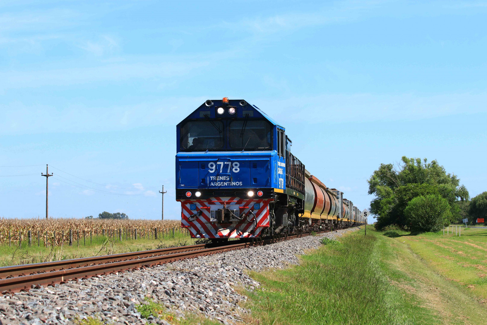 Grupo México evalúa inversiones en Argentina mientras espera por la privatización de trenes