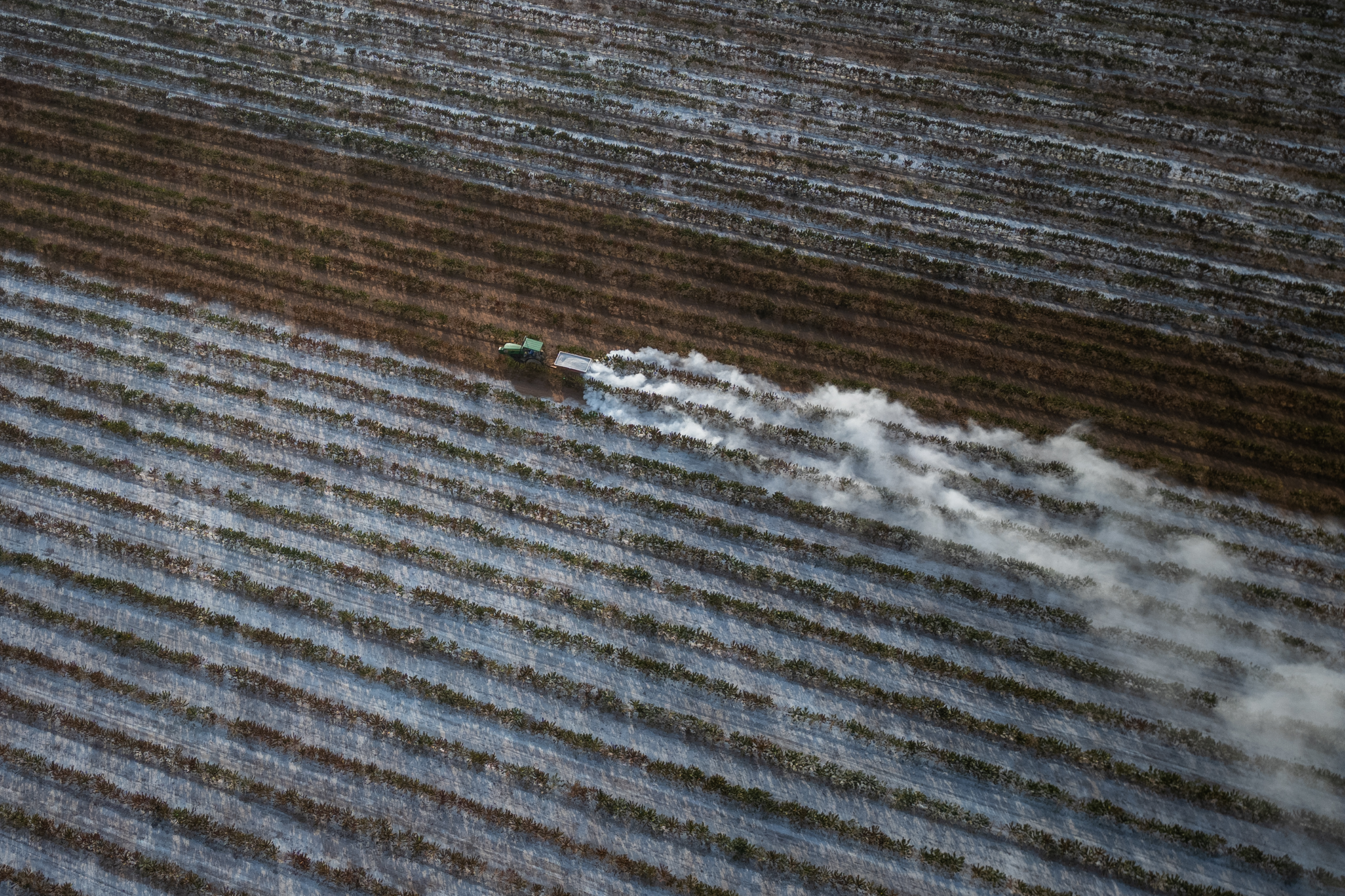 América Latina ante El Niño: Oxford Economics ve menor riesgo que en Asia y África