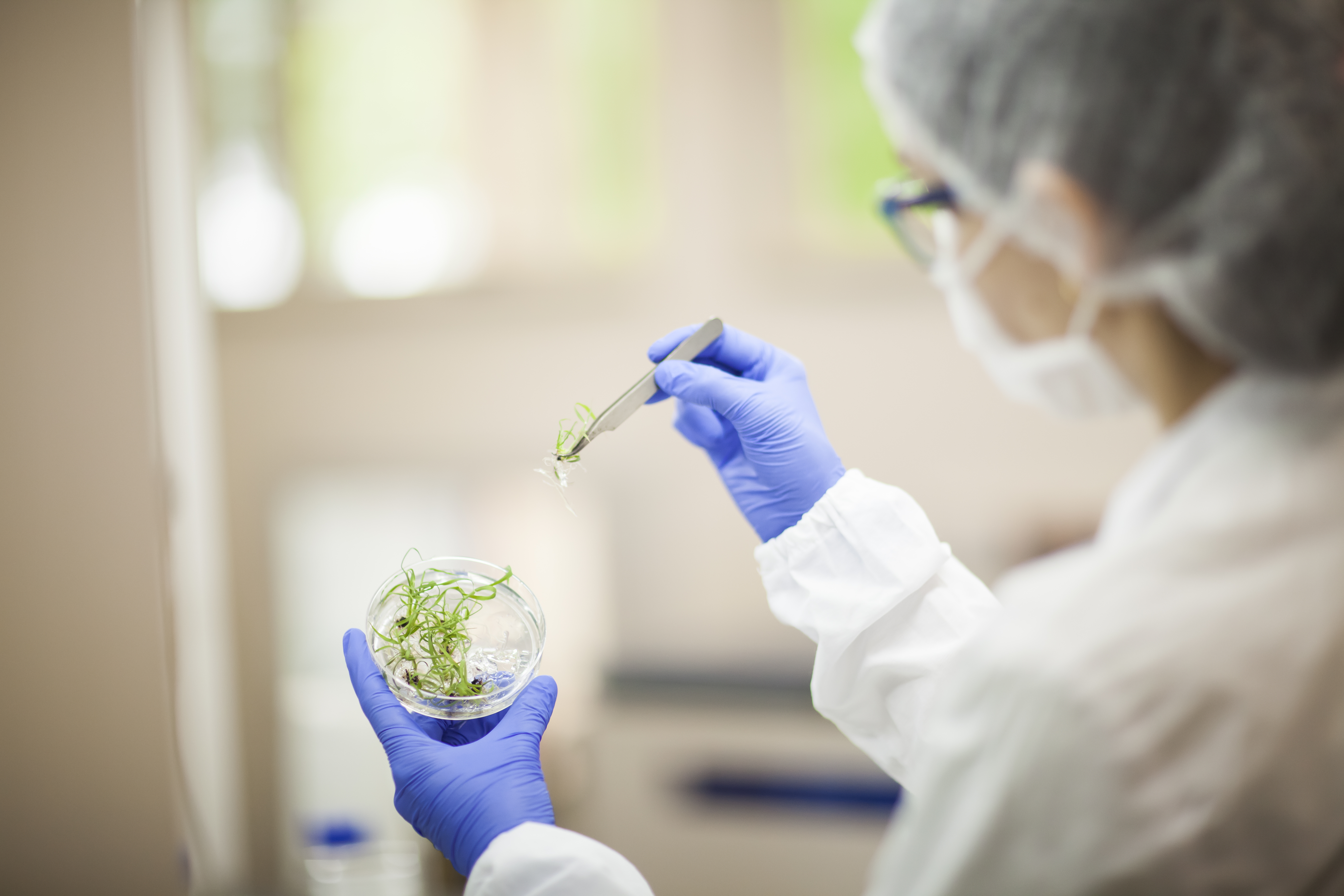 Gigante agro, CTC melhora resultado e deixa IPO para 2023 Gigante agro, CTC melhora resultado e deixa IPO para 2023