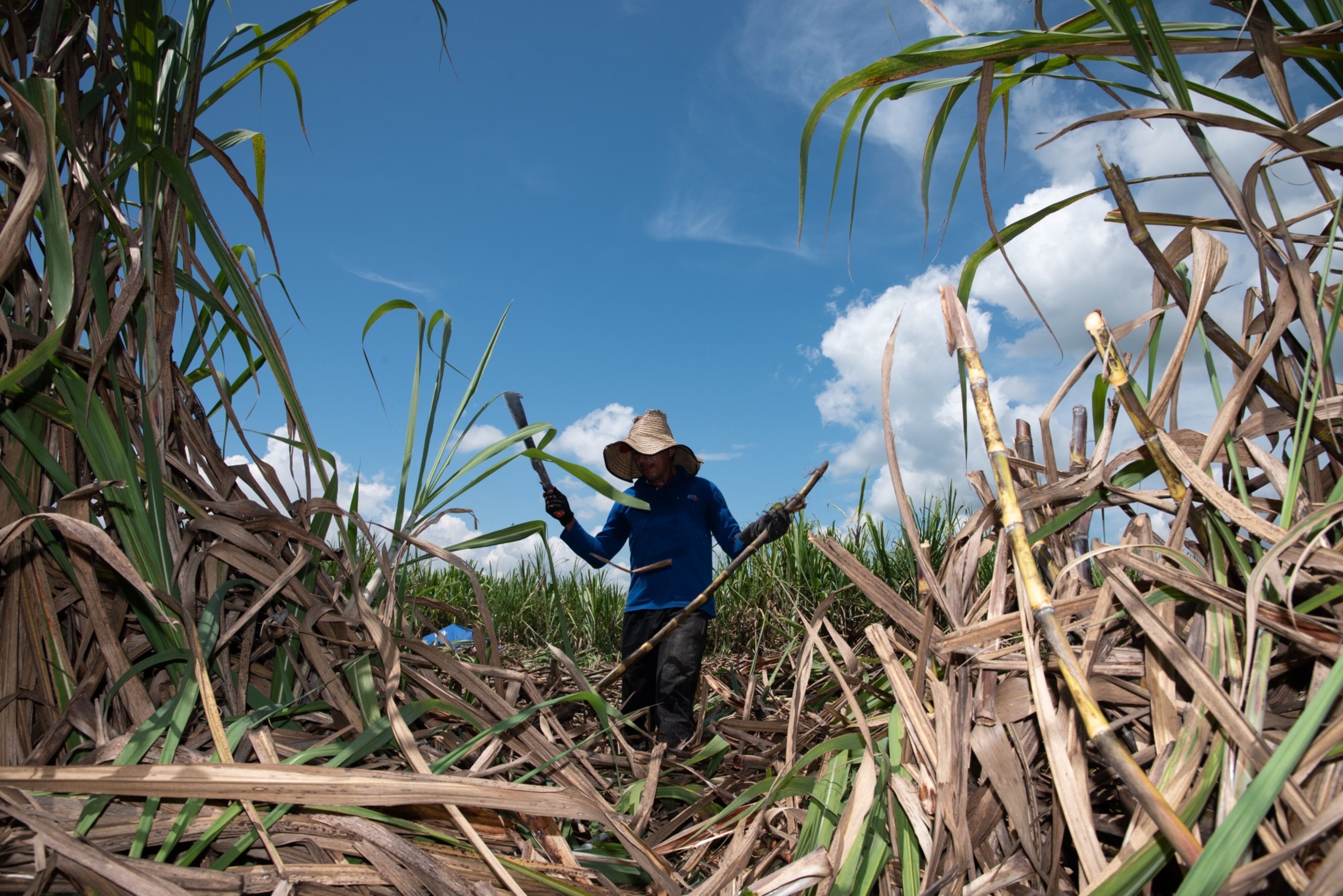 El Niño 2026: países de Latinoamérica que se verían más afectados entre octubre y diciembre