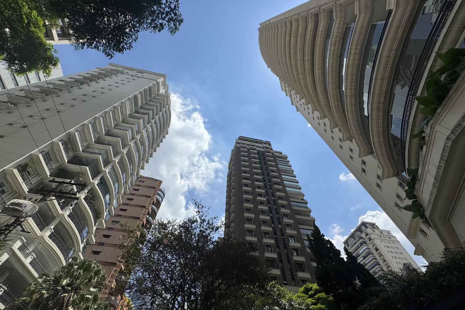 De terrenos à formação de corretores: as apostas da nova geração da Coelho da Fonseca