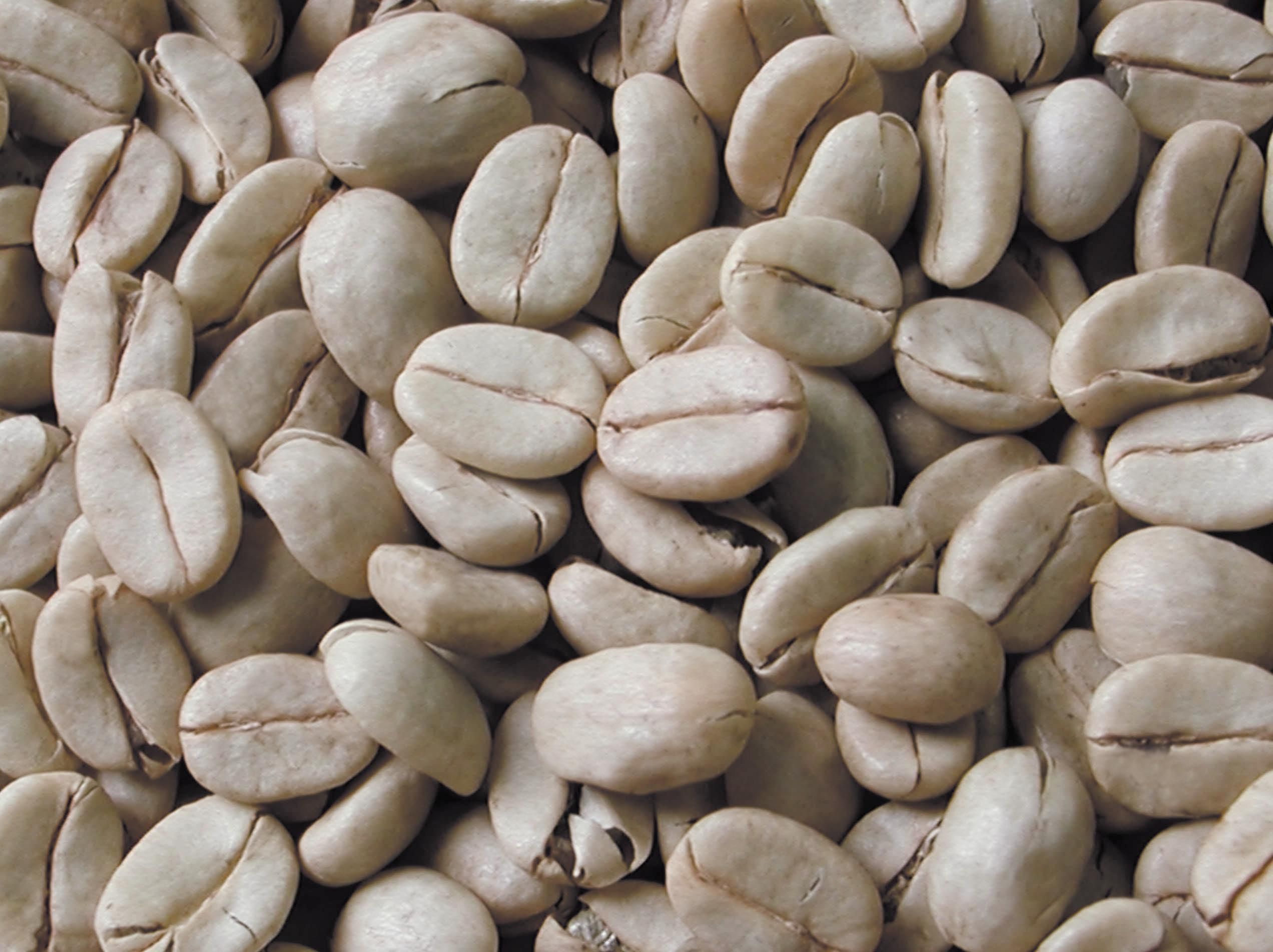 Coffee Beans Become a Currency In Venezuela