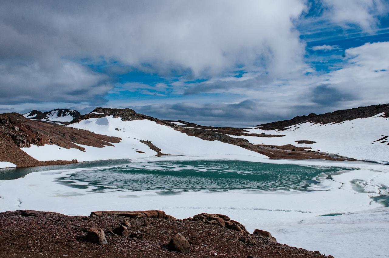 Natura busca nuevos bioactivos fuera de la Amazonía con inversión en startup uruguaya
