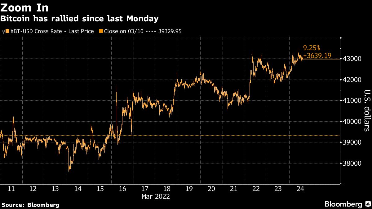 Bitcoin Mini-Rallies Go Nowhere as Even Bulls See Lost Year