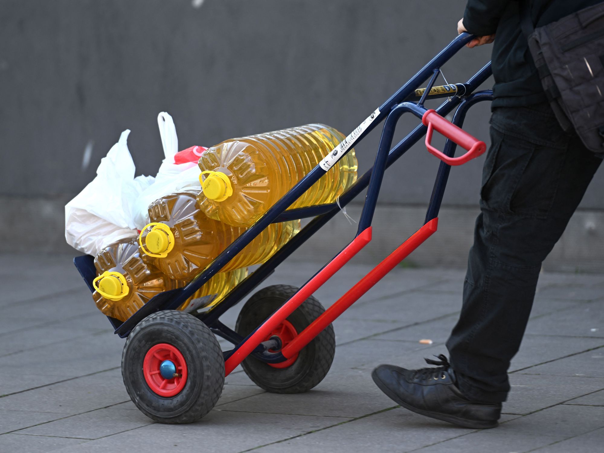 Cómo la crisis del aceite de girasol ucraniano afecta a la industria  alimenticia