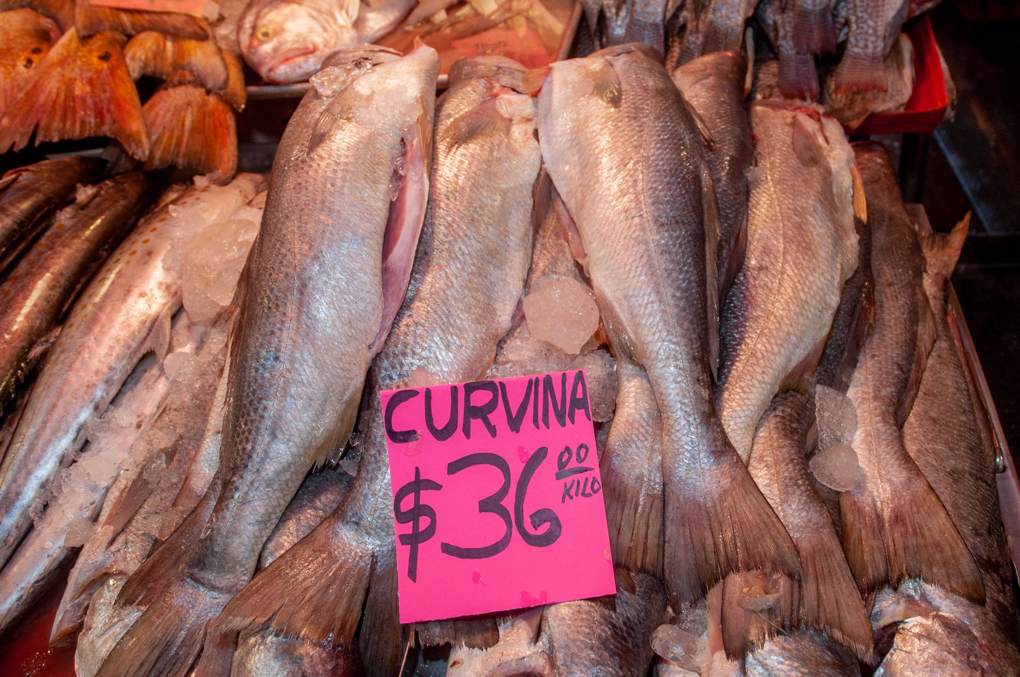 Semana Santa 2022: productores garantizan abasto de pescados y mariscos en  Cuaresma