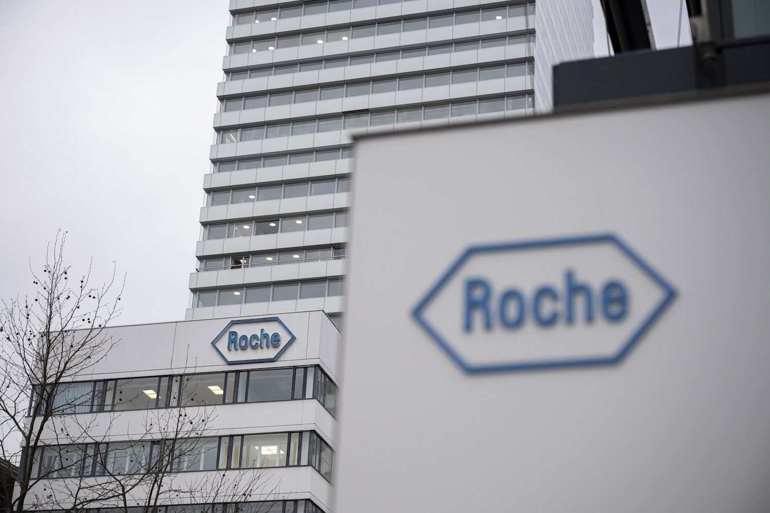 Na Roche, área de diagnósticos já fatura R$ 1,5 bi. O CEO vê espaço para crescer mais