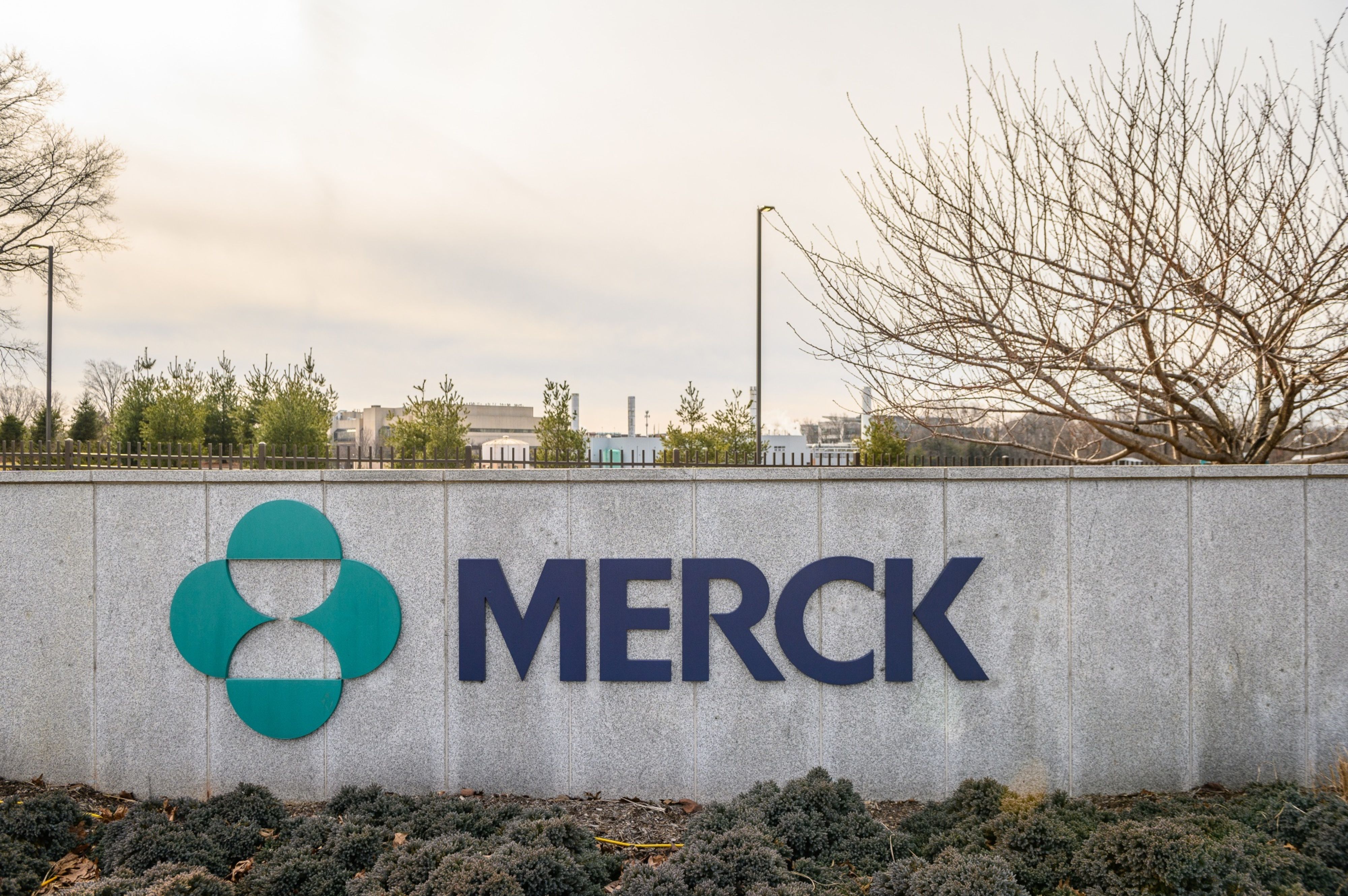 Demanda justifica investimento de R$ 100 mi no Brasil, diz CEO global de  saúde da Merck