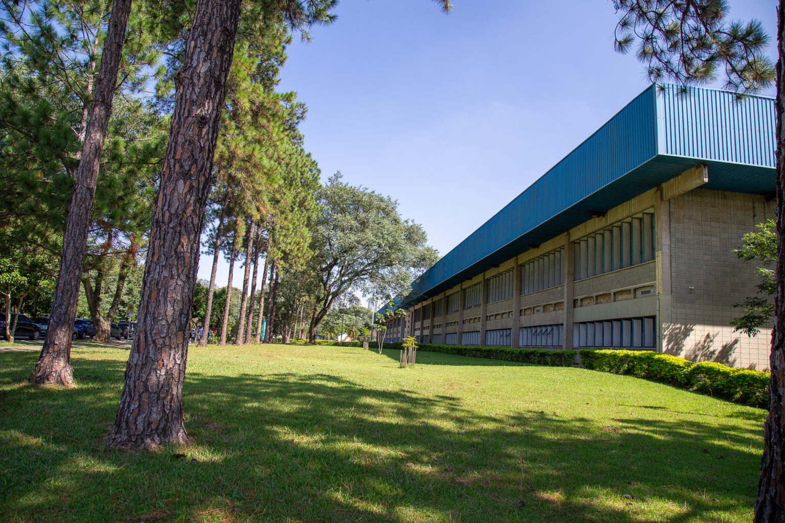 Brasil tem 6 universidades entre as 20 melhores da América Latina, segundo ranking