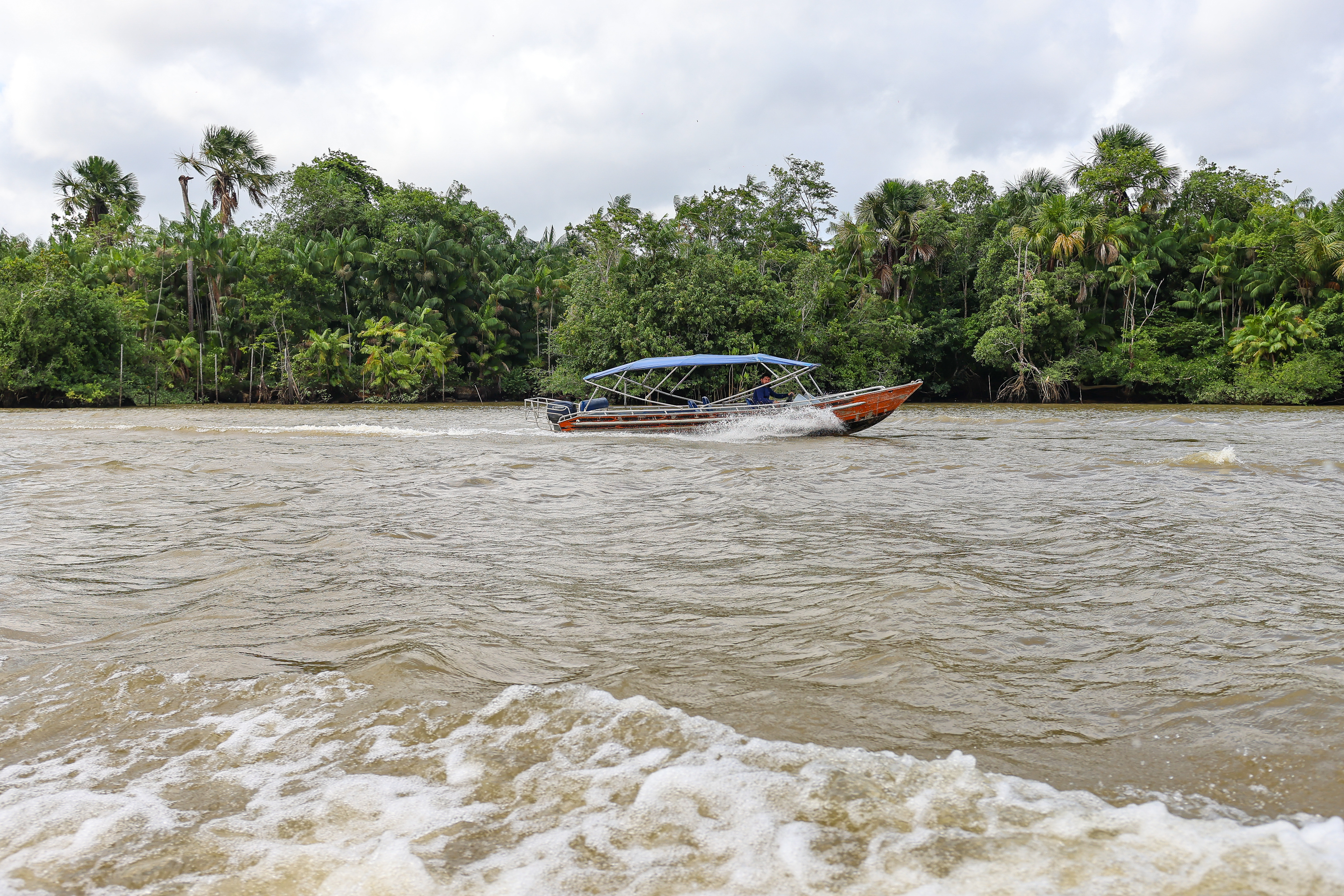 De la selva al laboratorio: Natura refuerza su apuesta amazónica previo a la COP30