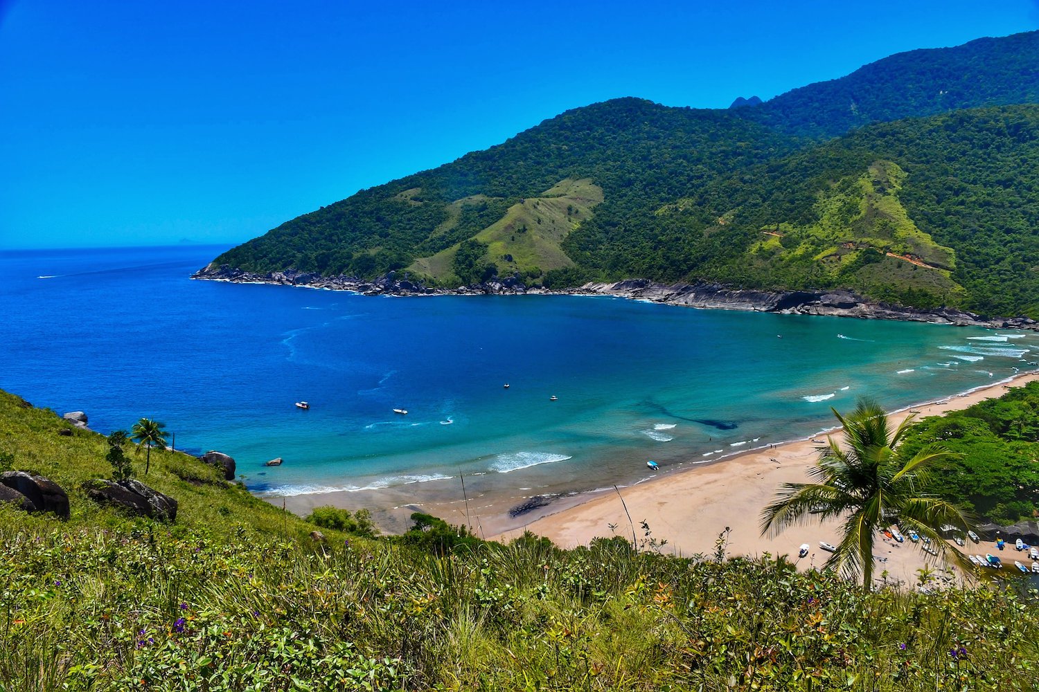 Brasil tem 10 praias entre entre as 100 melhores de 2026, segundo levantamento Brasil tem 10 praias entre entre as 100 melhores de 2026, segundo levantamento