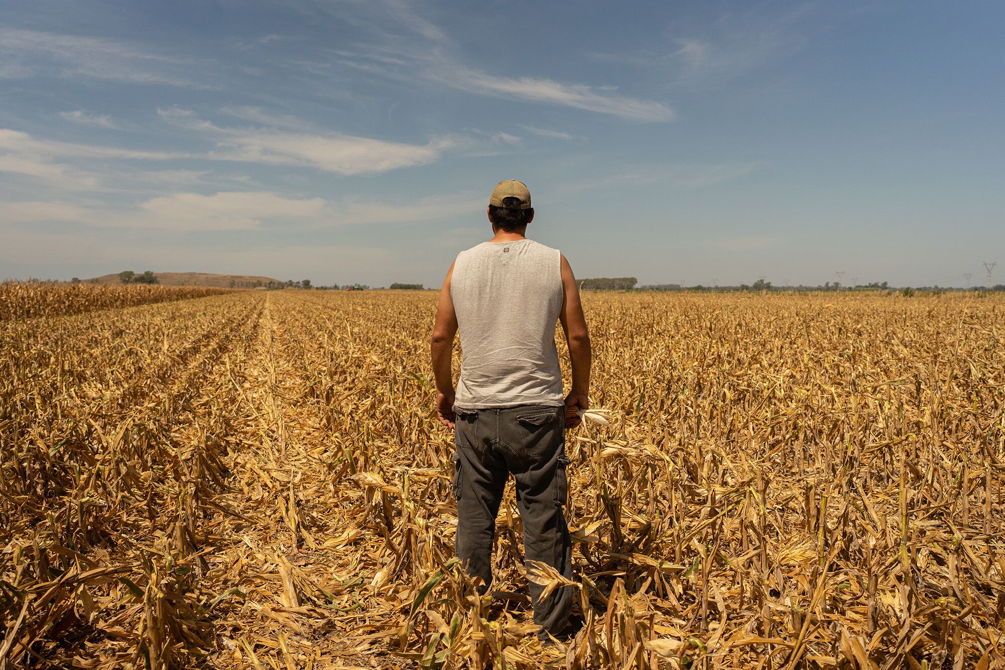 El Niño también impactará el empleo de Latinoamérica: OIT revela posibles trabajos y países más afectados El Niño también impactará el empleo de Latinoamérica: OIT revela posibles trabajos y países más afectados